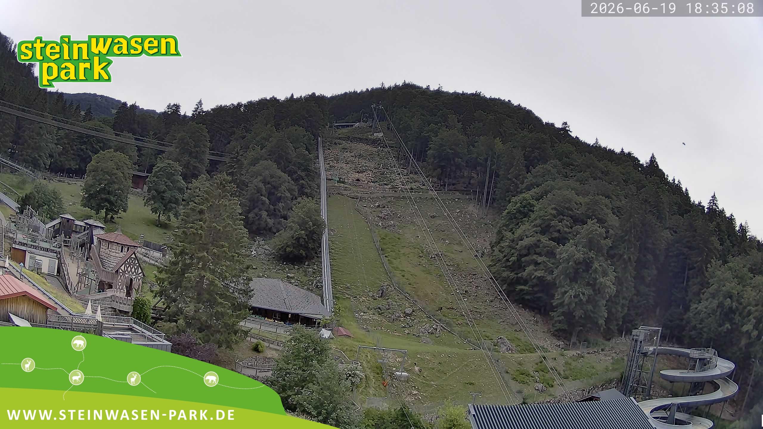 Archiv Foto Webcam Steinwasen Park