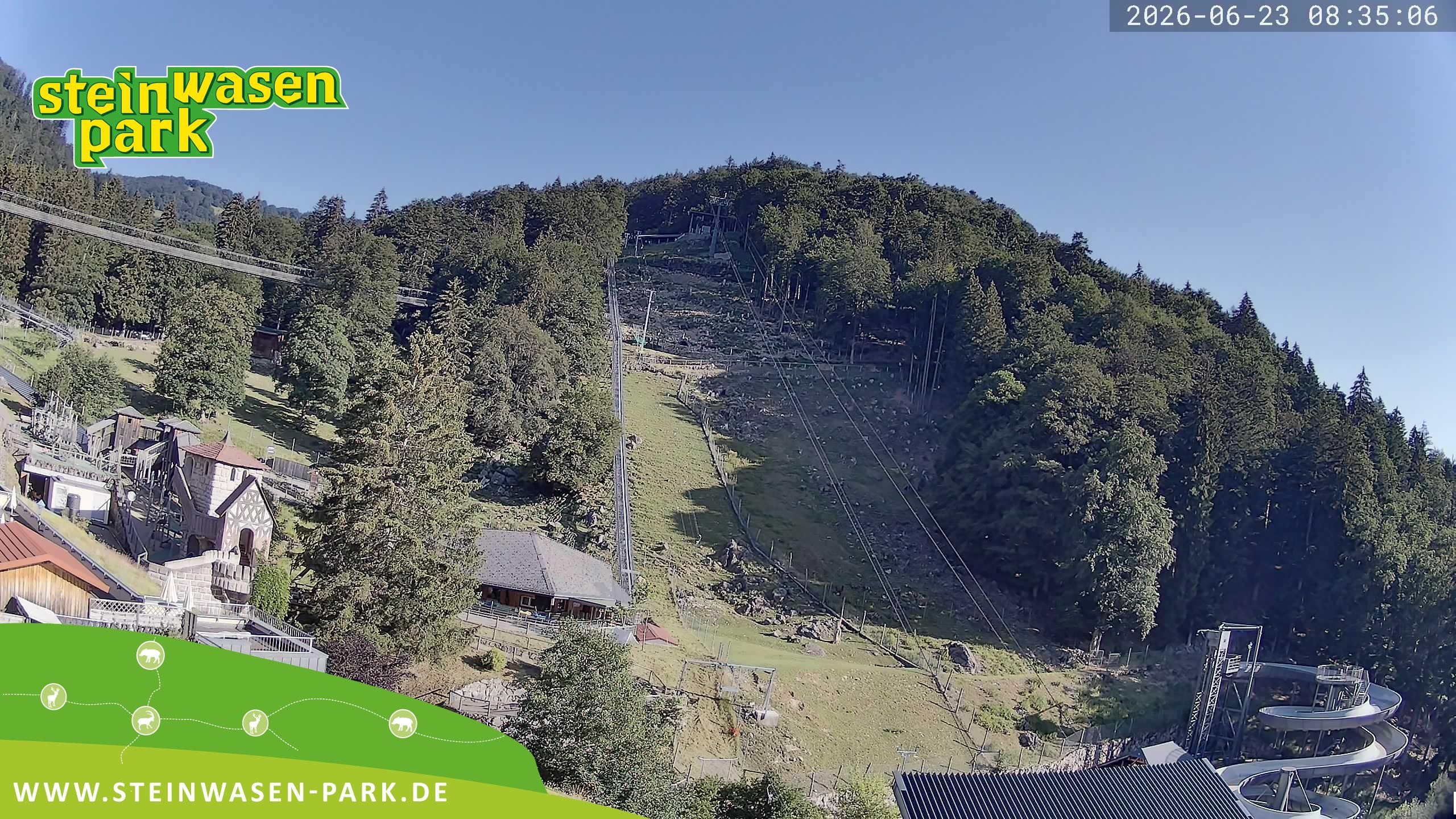 Archiv Foto Webcam Steinwasen Park