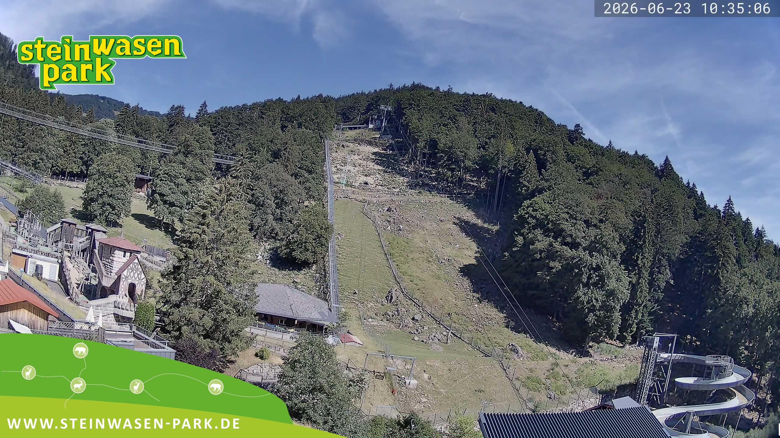 Archiv Foto Webcam Steinwasen Park