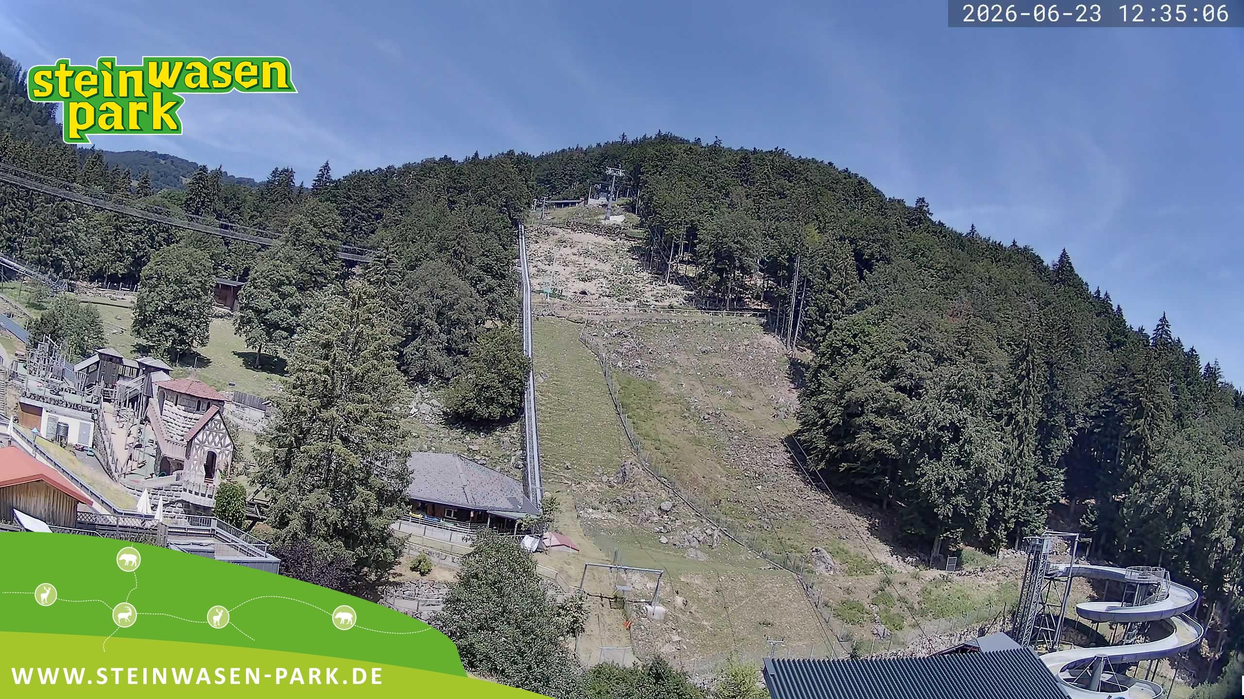 Archiv Foto Webcam Steinwasen Park