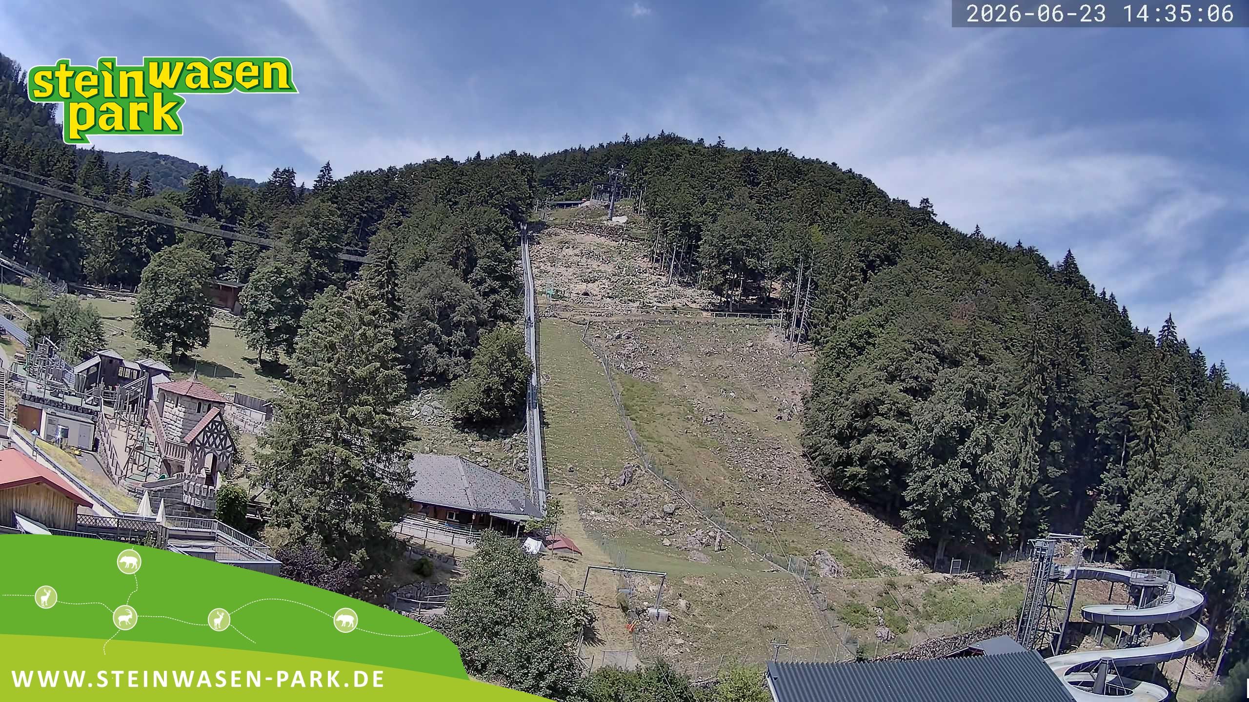 Archiv Foto Webcam Steinwasen Park