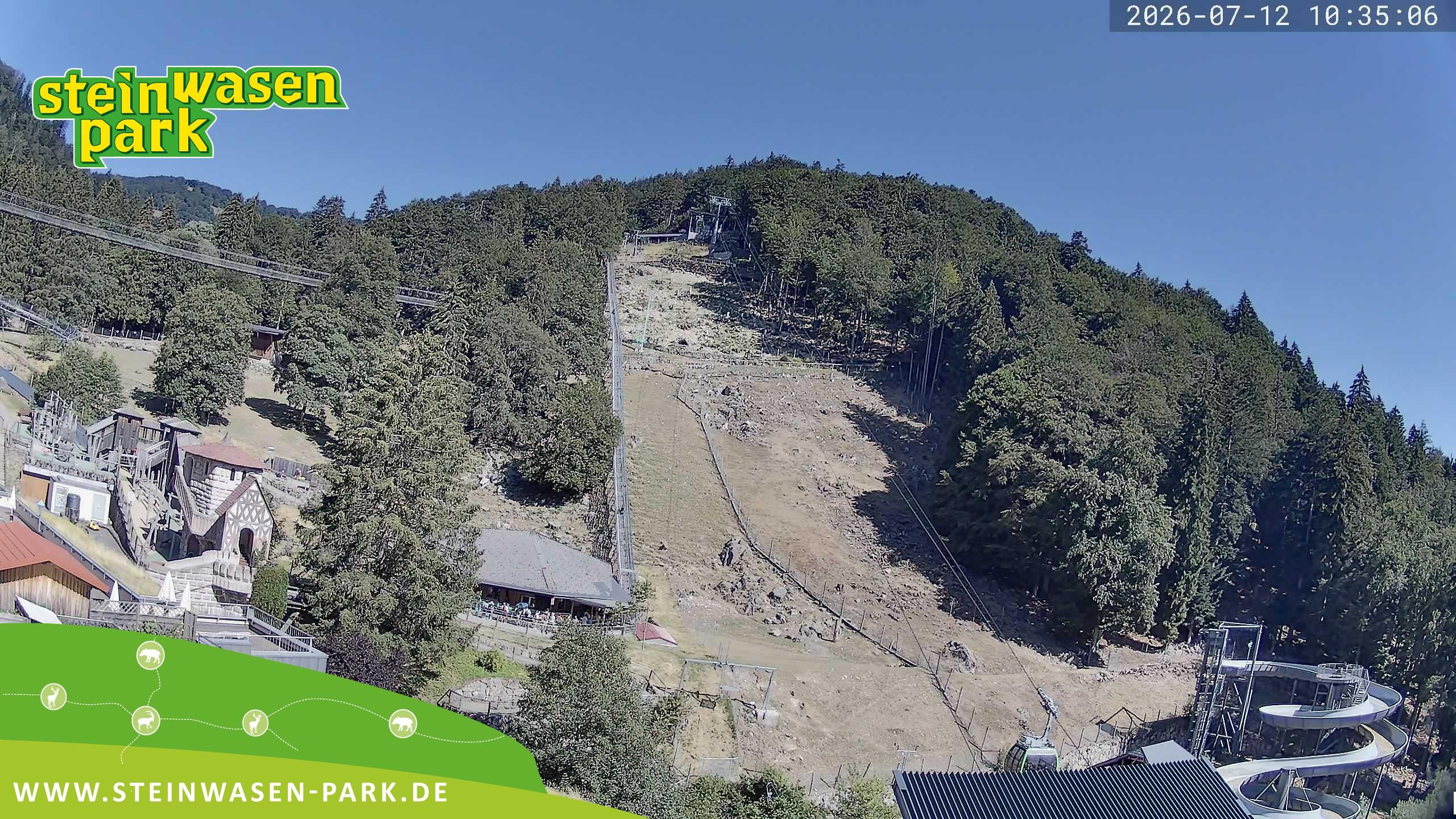 Archiv Foto Webcam Steinwasen Park