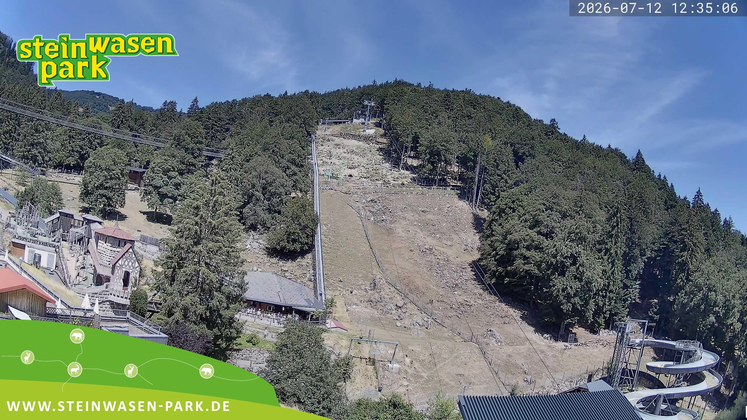 Archiv Foto Webcam Steinwasen Park