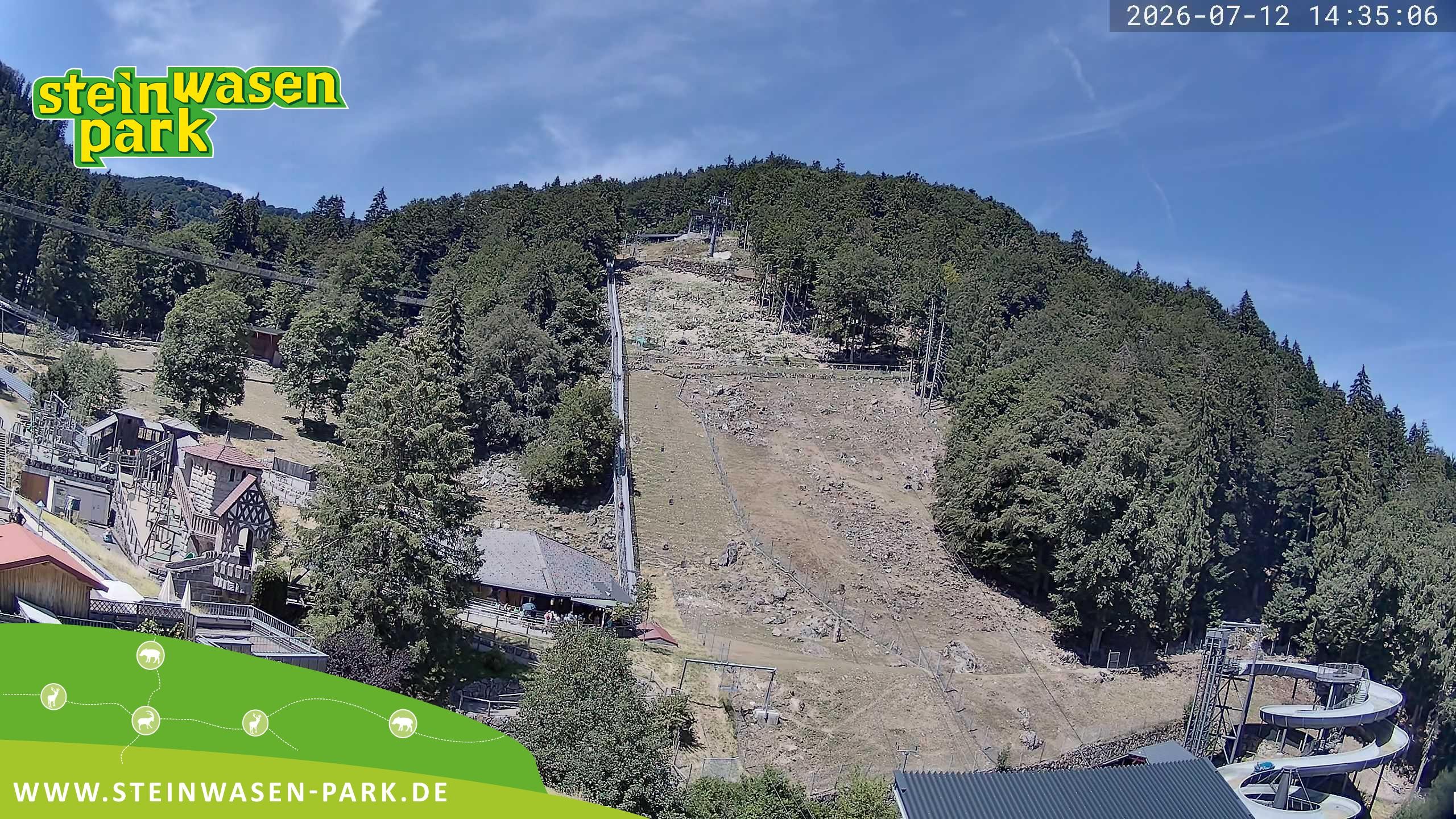 Archiv Foto Webcam Steinwasen Park