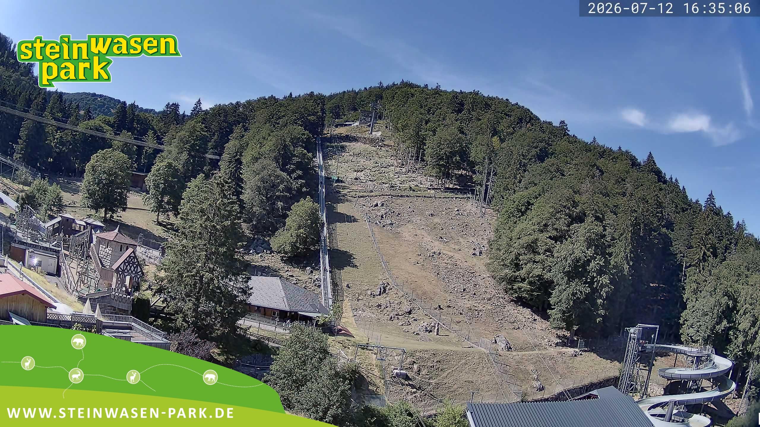 Archiv Foto Webcam Steinwasen Park