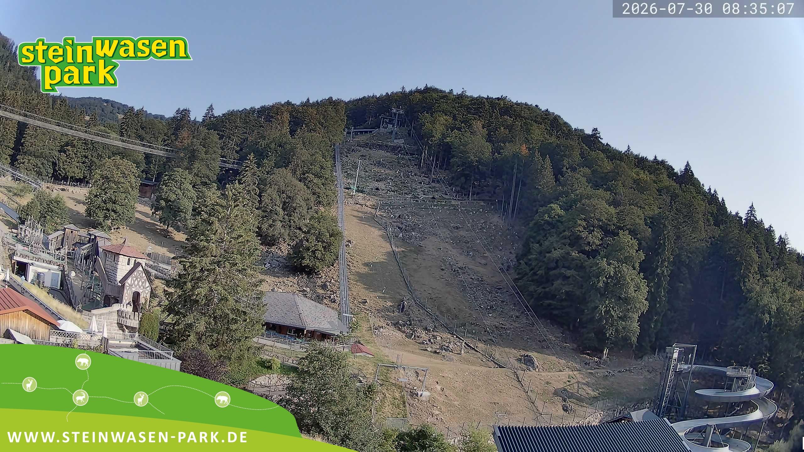 Archiv Foto Webcam Steinwasen Park