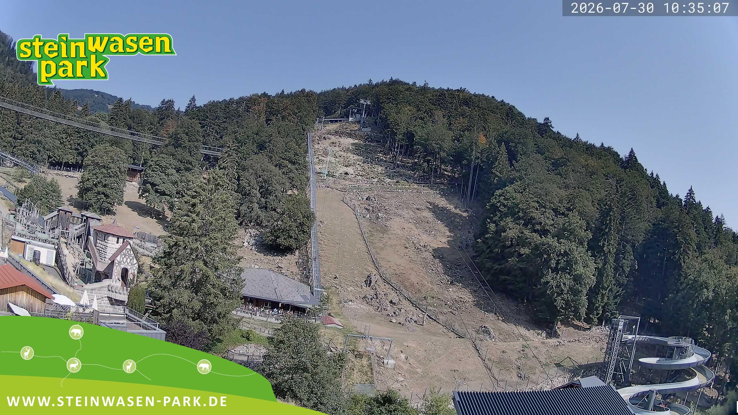 Archiv Foto Webcam Steinwasen Park