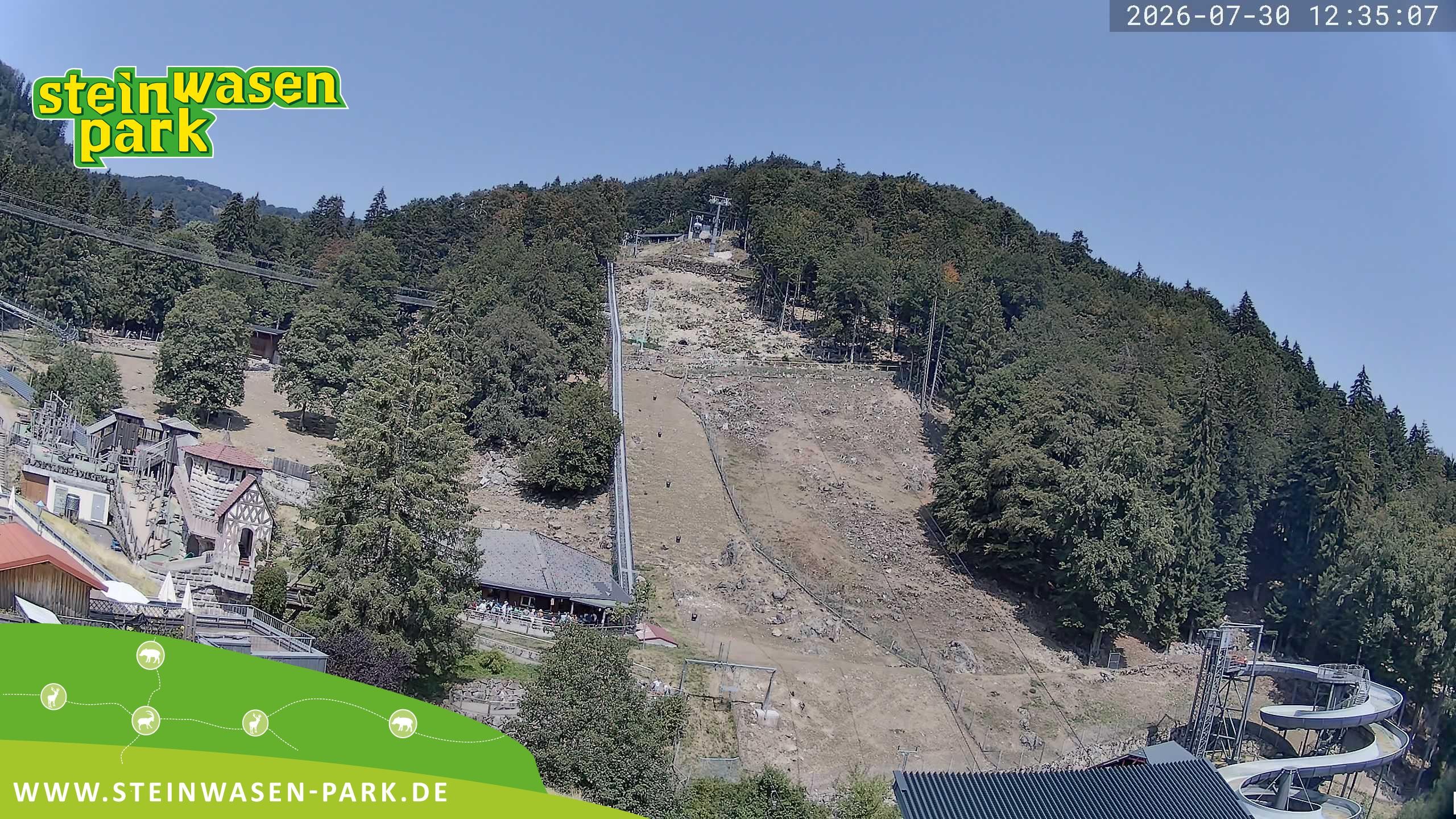 Archiv Foto Webcam Steinwasen Park