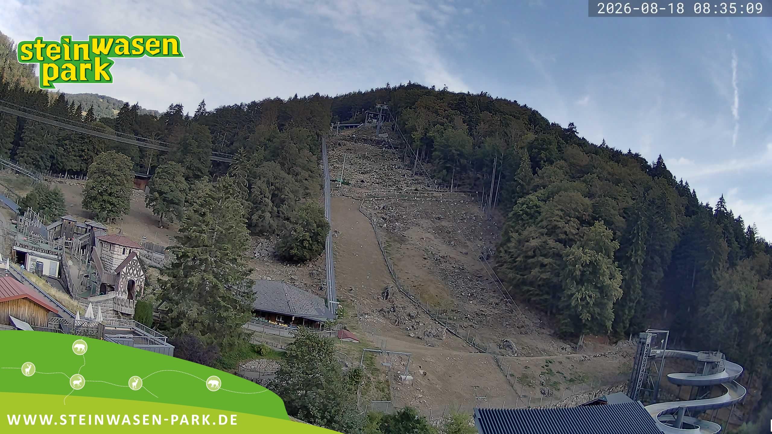 Archived image Webcam at Steinwasen Park