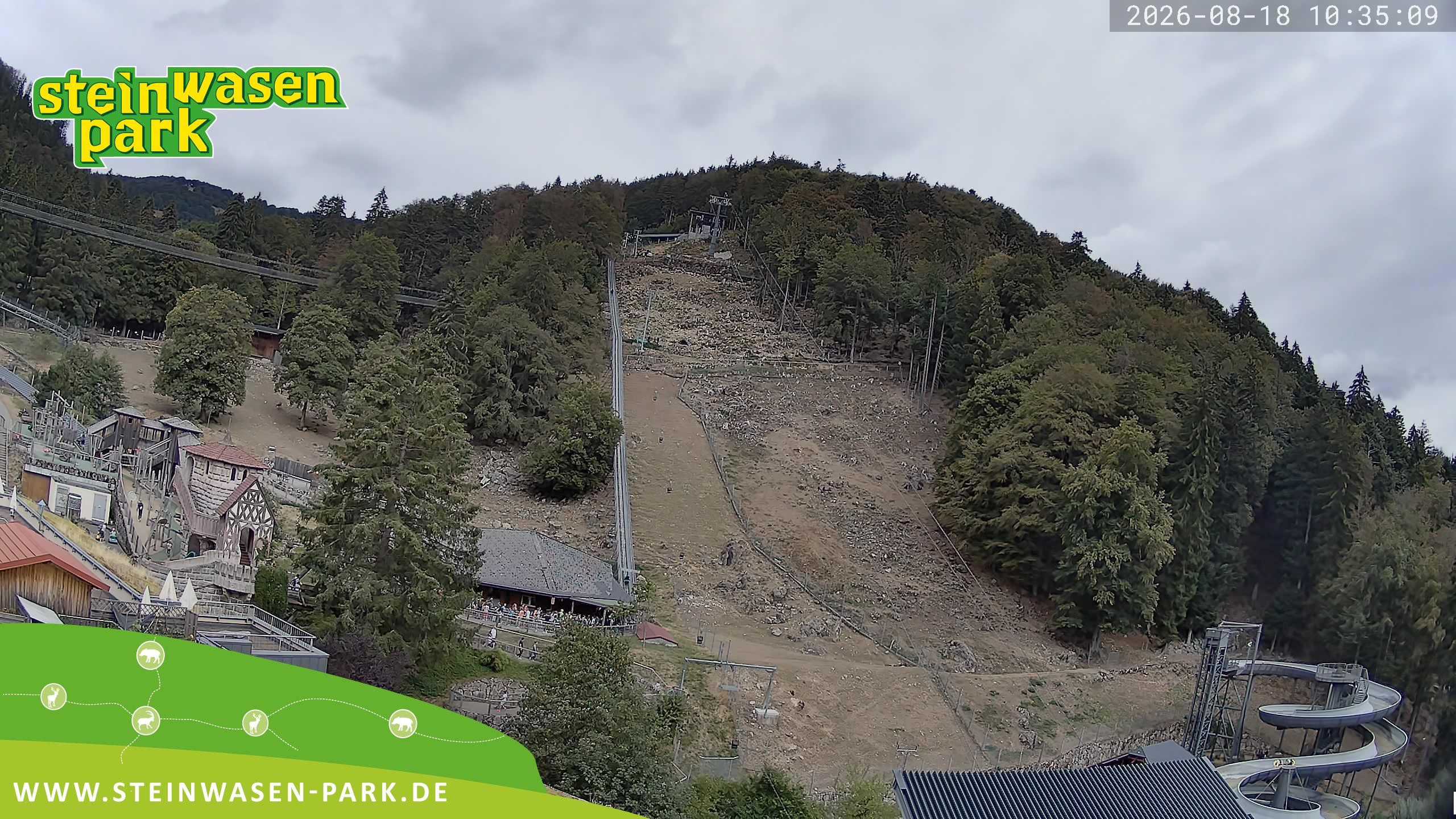 Archived image Webcam at Steinwasen Park