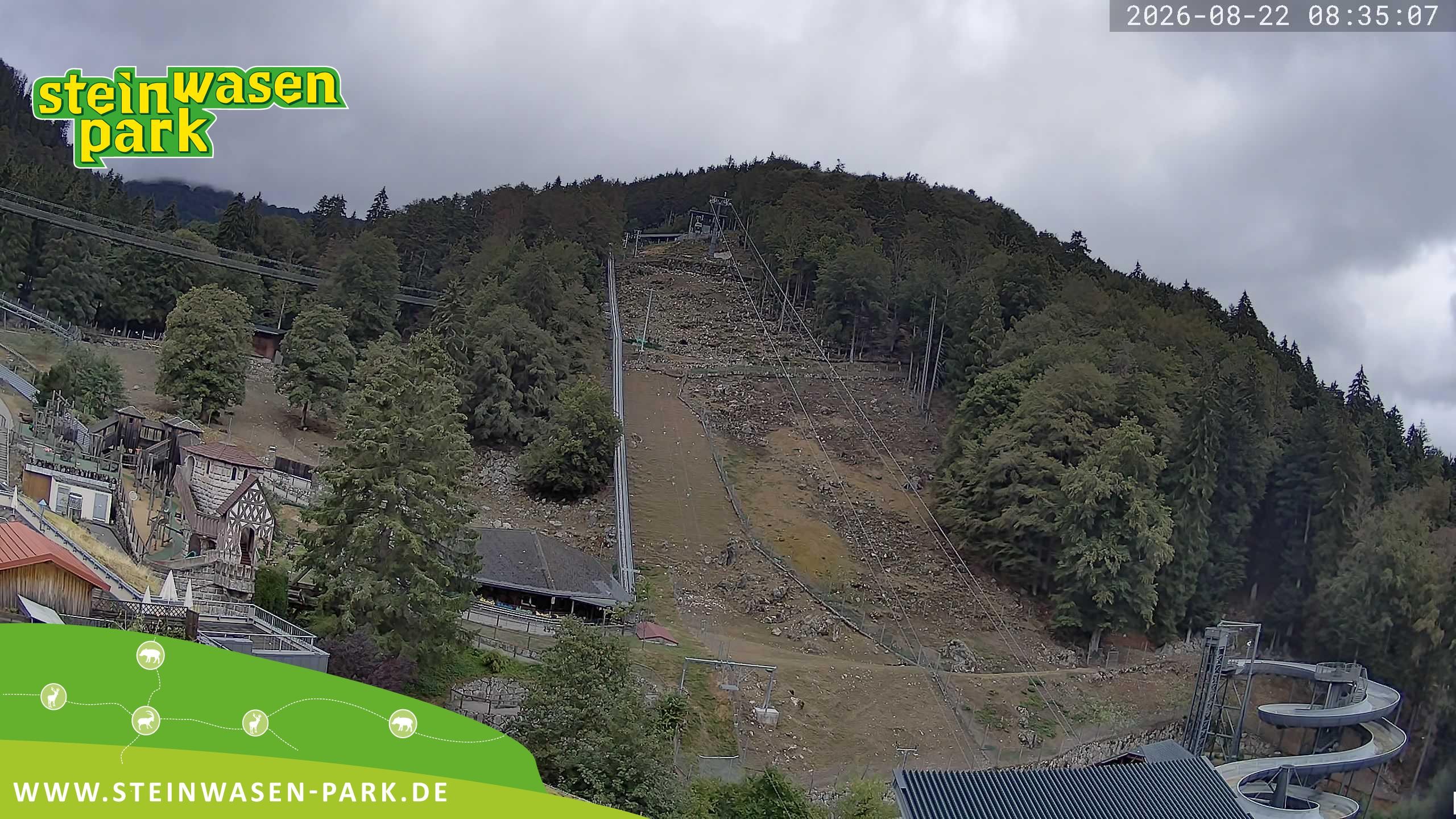 Archiv Foto Webcam Steinwasen Park