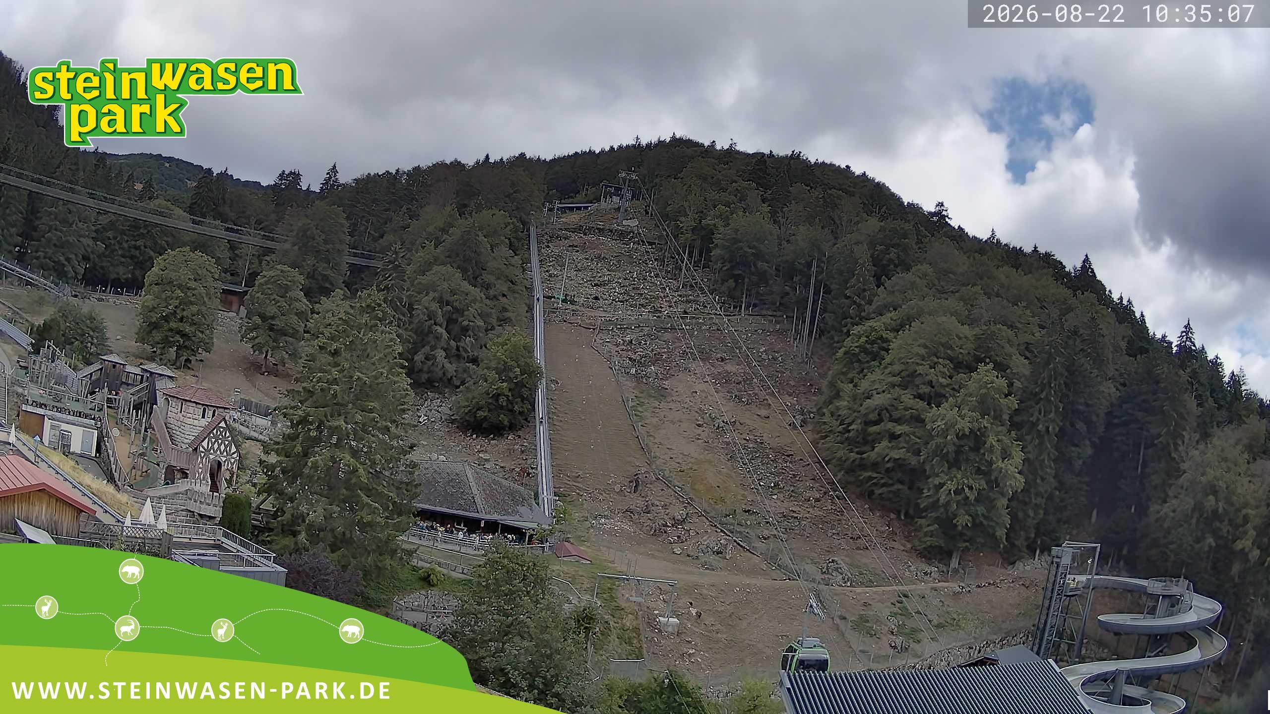 Archiv Foto Webcam Steinwasen Park