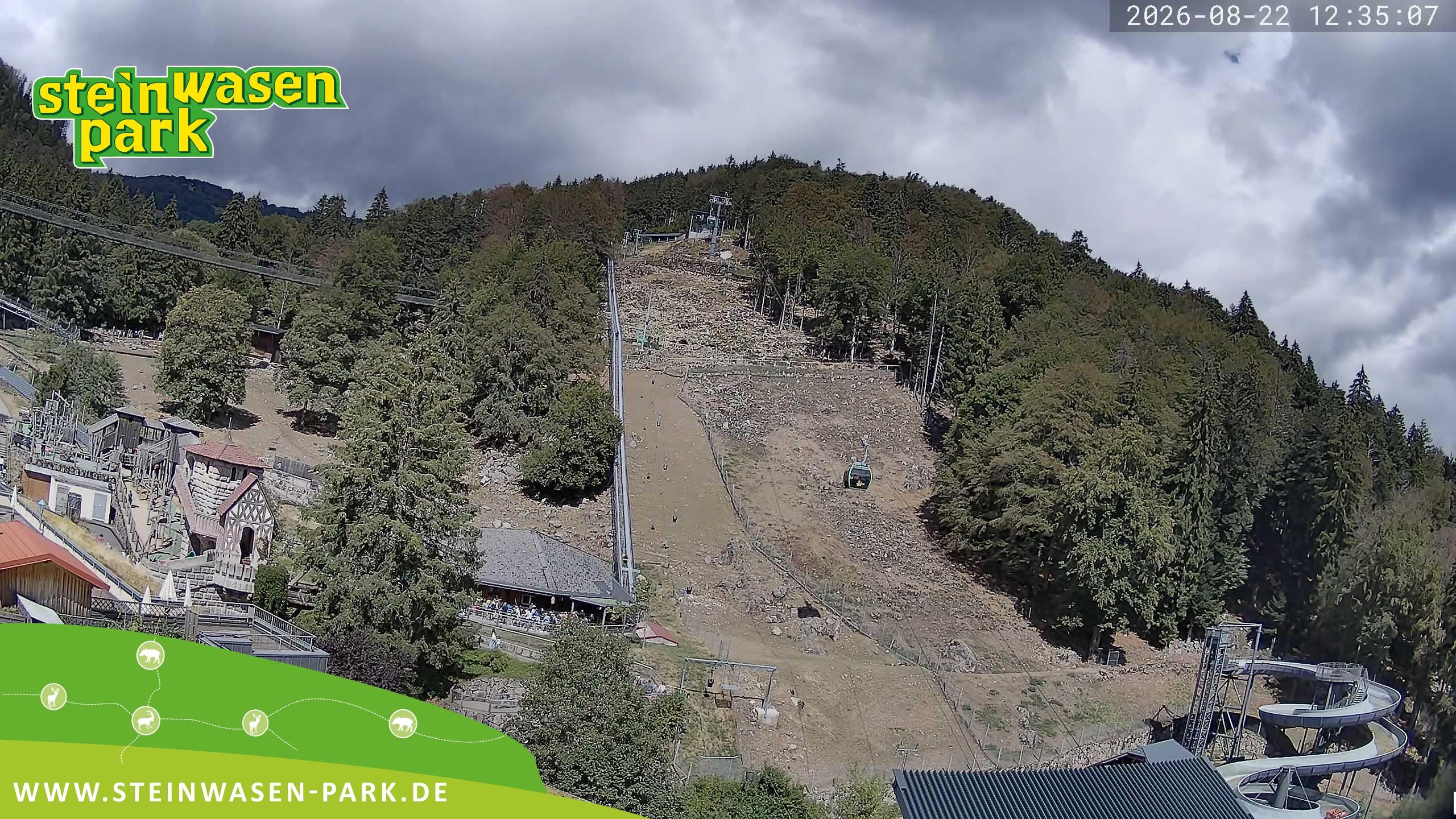 Archiv Foto Webcam Steinwasen Park