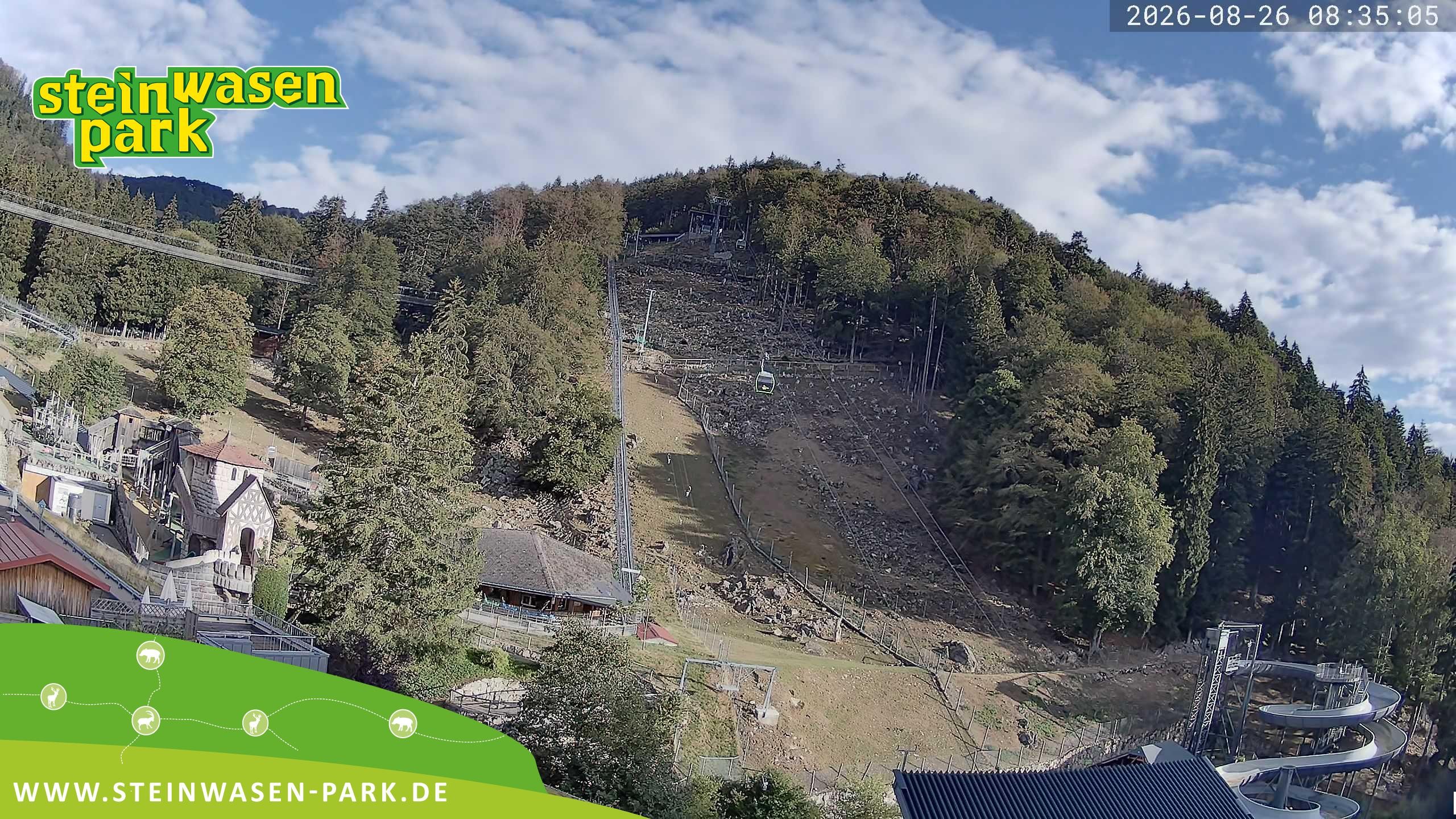 Archiv Foto Webcam Steinwasen Park