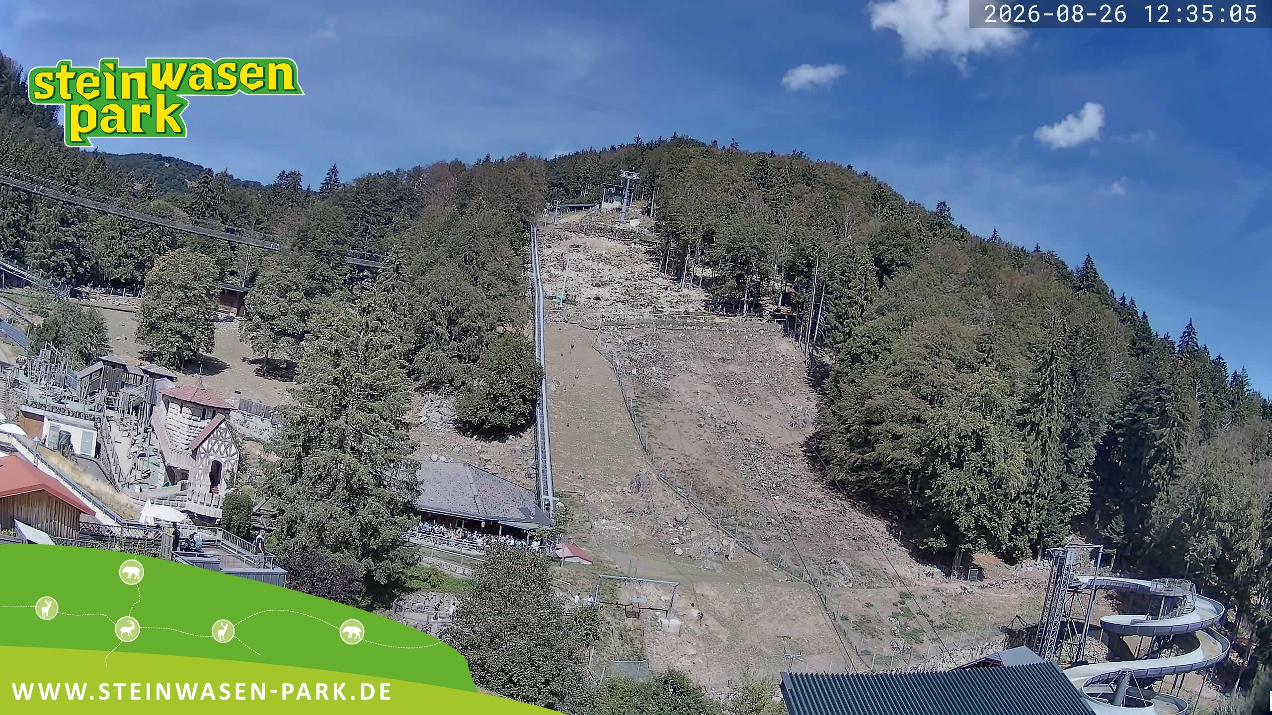 Archiv Foto Webcam Steinwasen Park