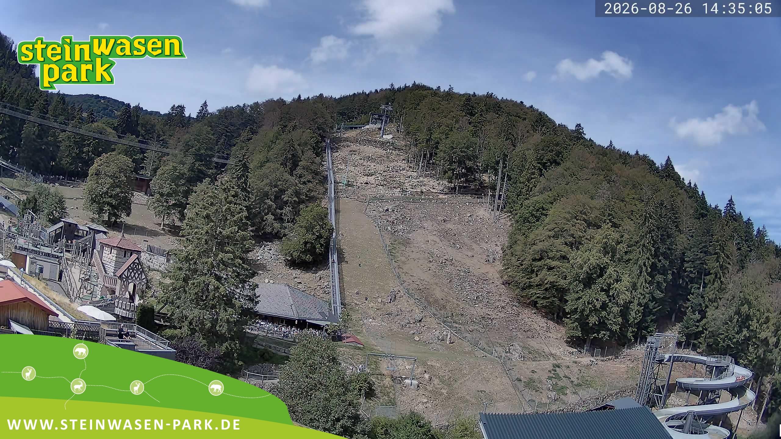 Archiv Foto Webcam Steinwasen Park