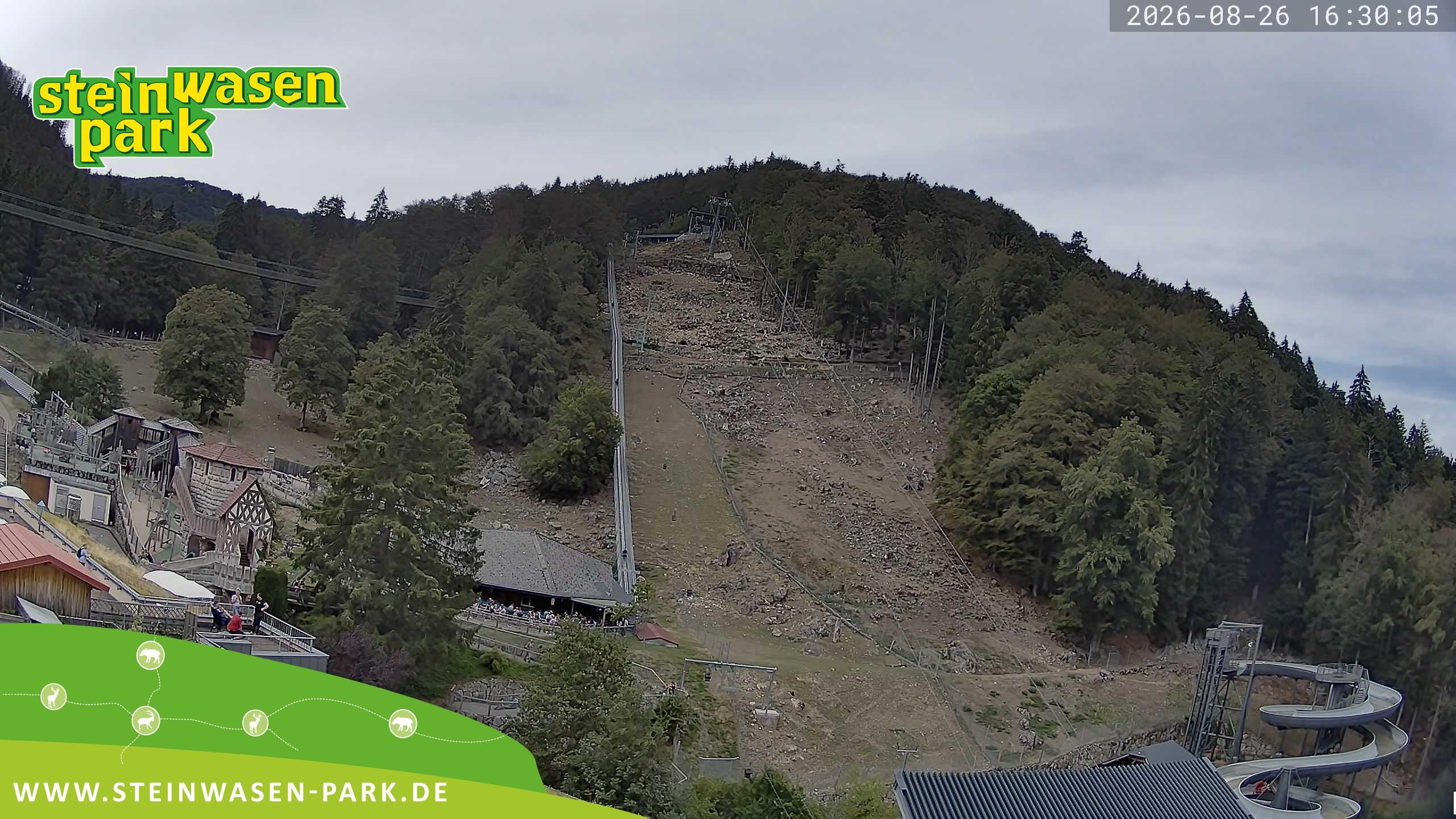 Archiv Foto Webcam Steinwasen Park