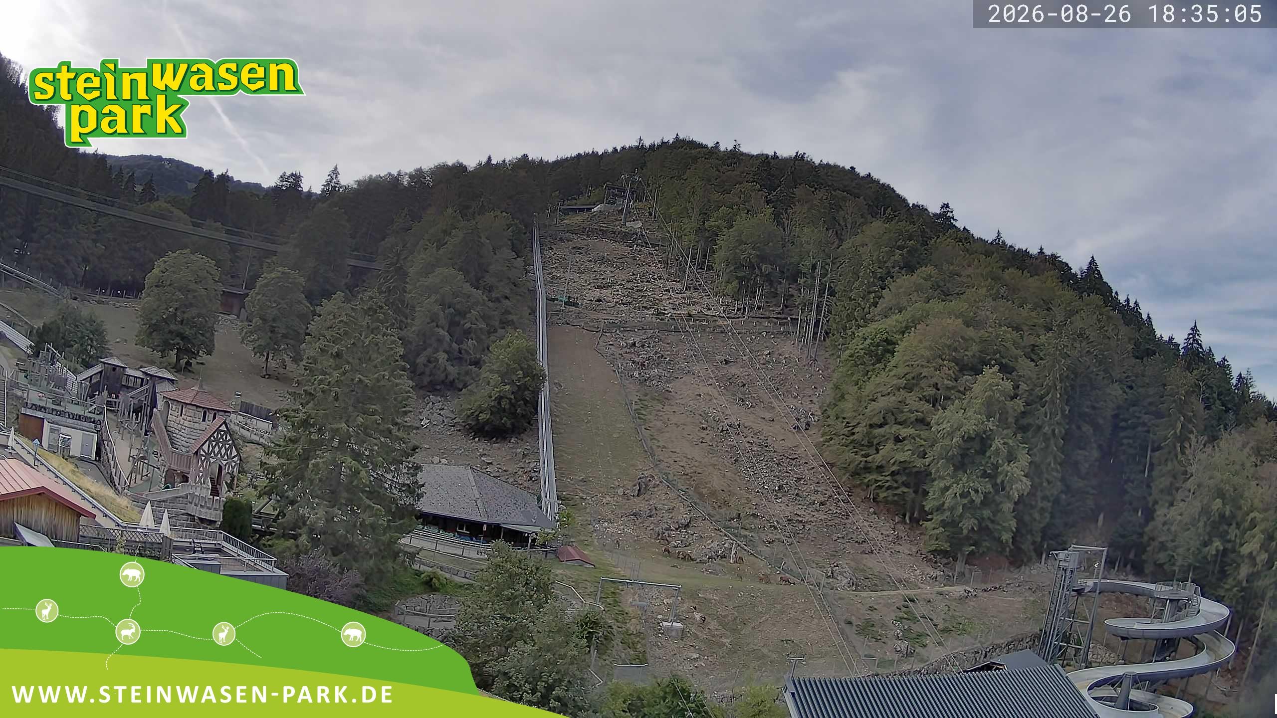 Archiv Foto Webcam Steinwasen Park