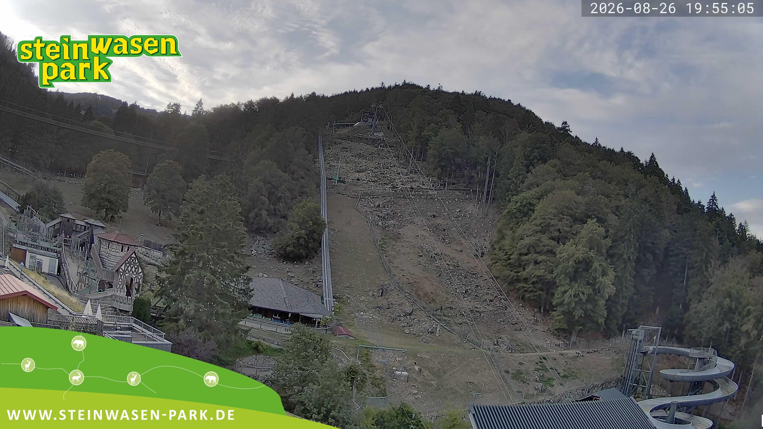 Archiv Foto Webcam Steinwasen Park