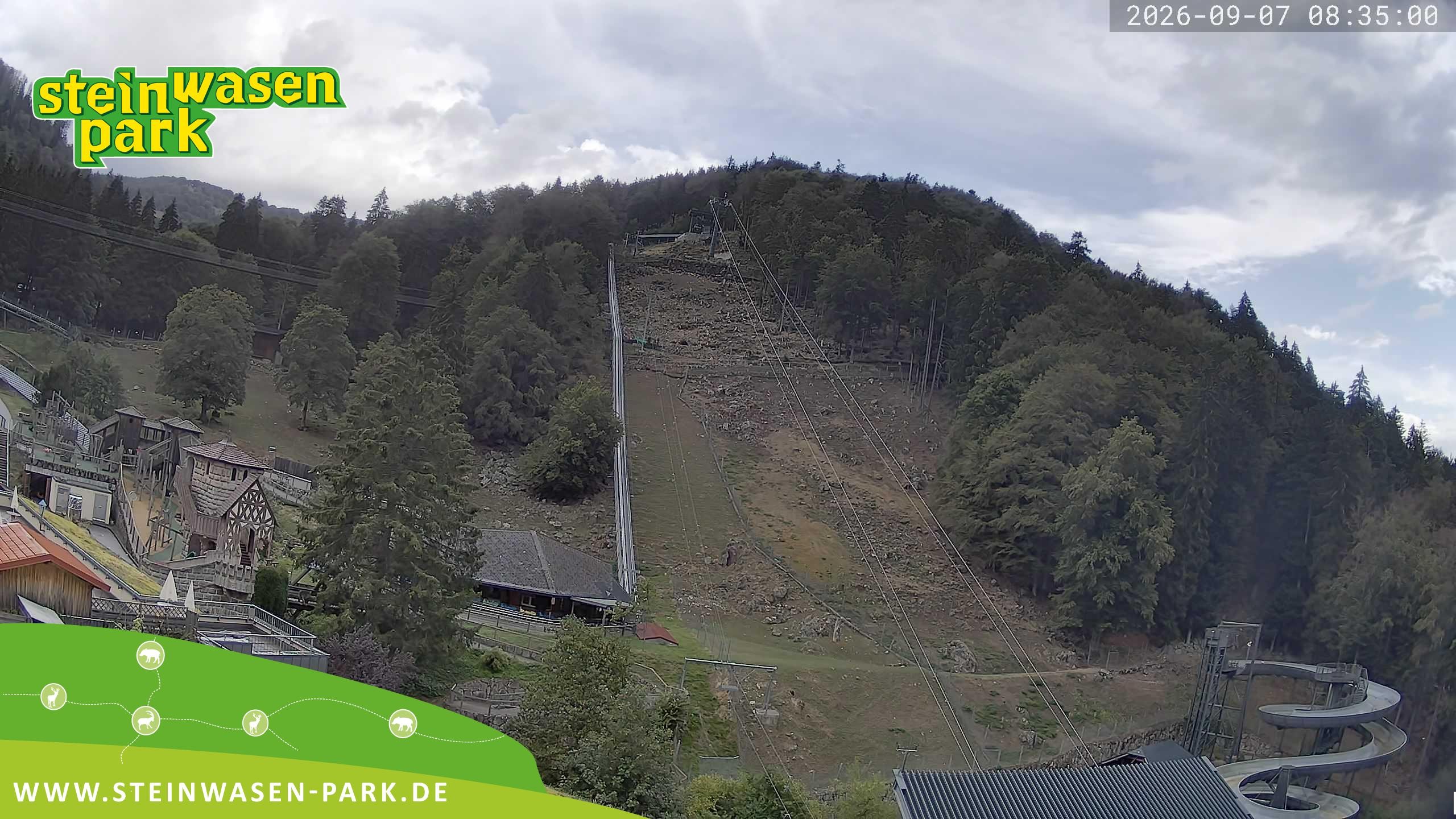 Archiv Foto Webcam Steinwasen Park