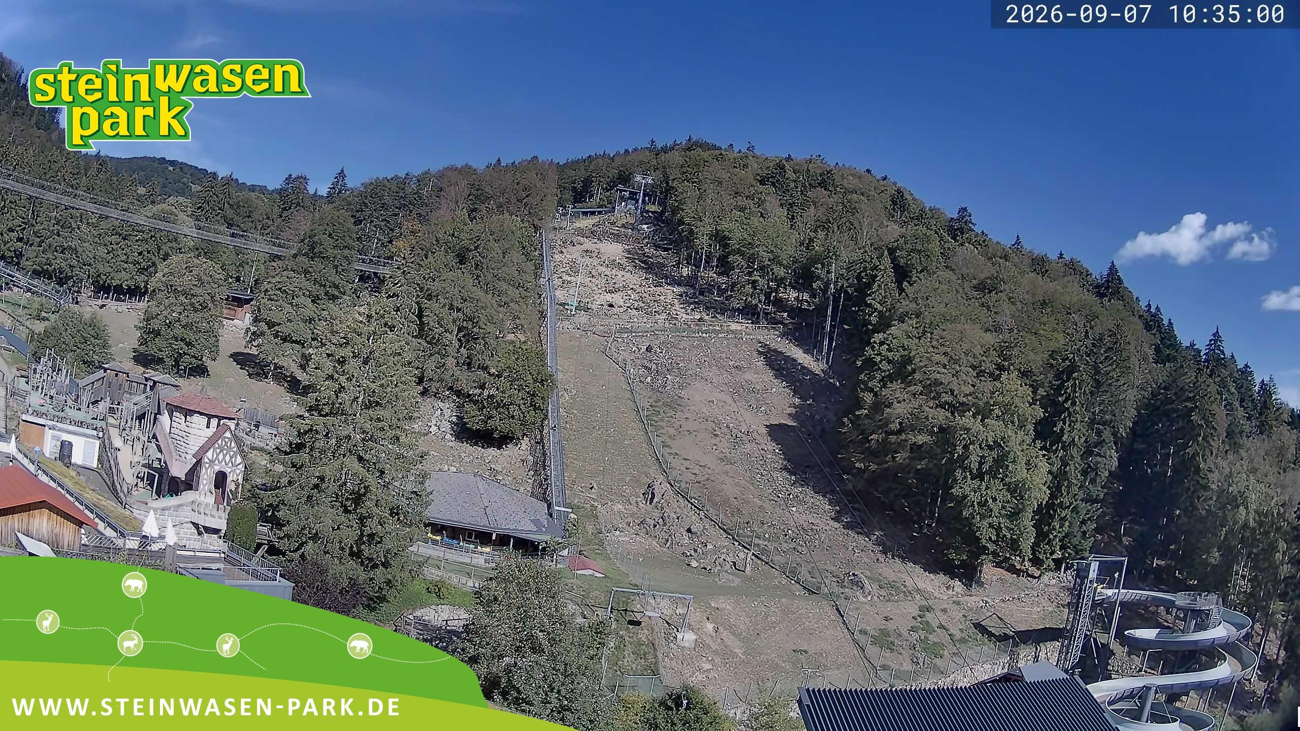 Archiv Foto Webcam Steinwasen Park