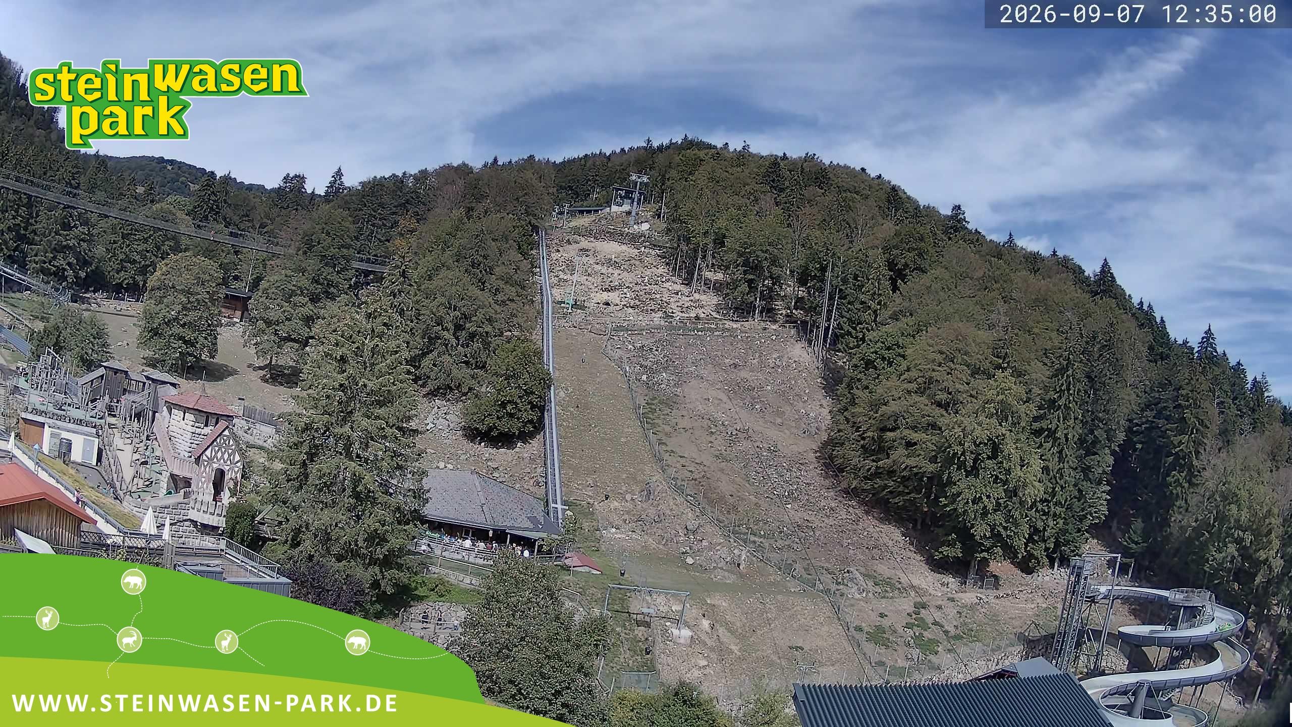 Archiv Foto Webcam Steinwasen Park
