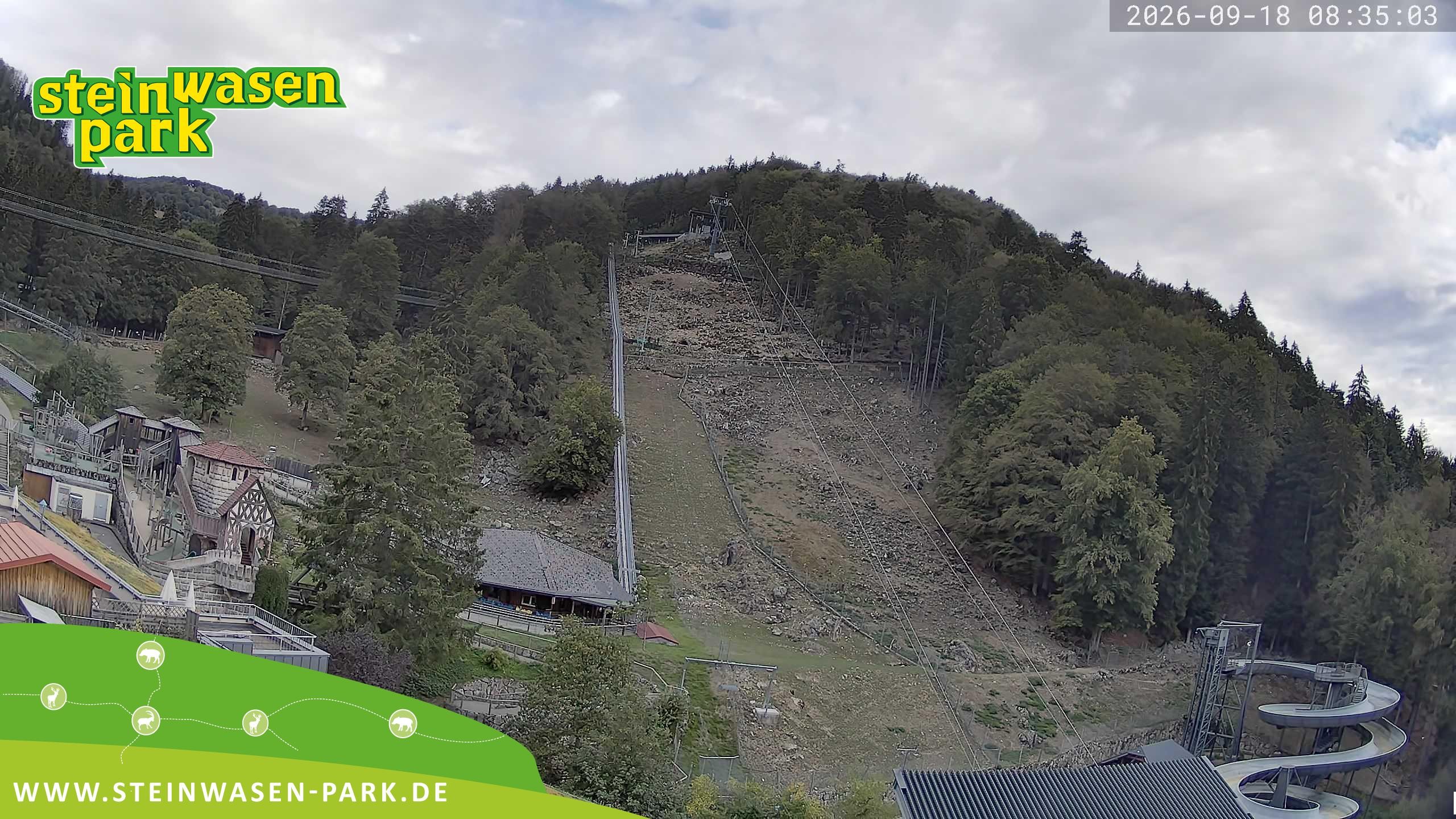 Archiv Foto Webcam Steinwasen Park