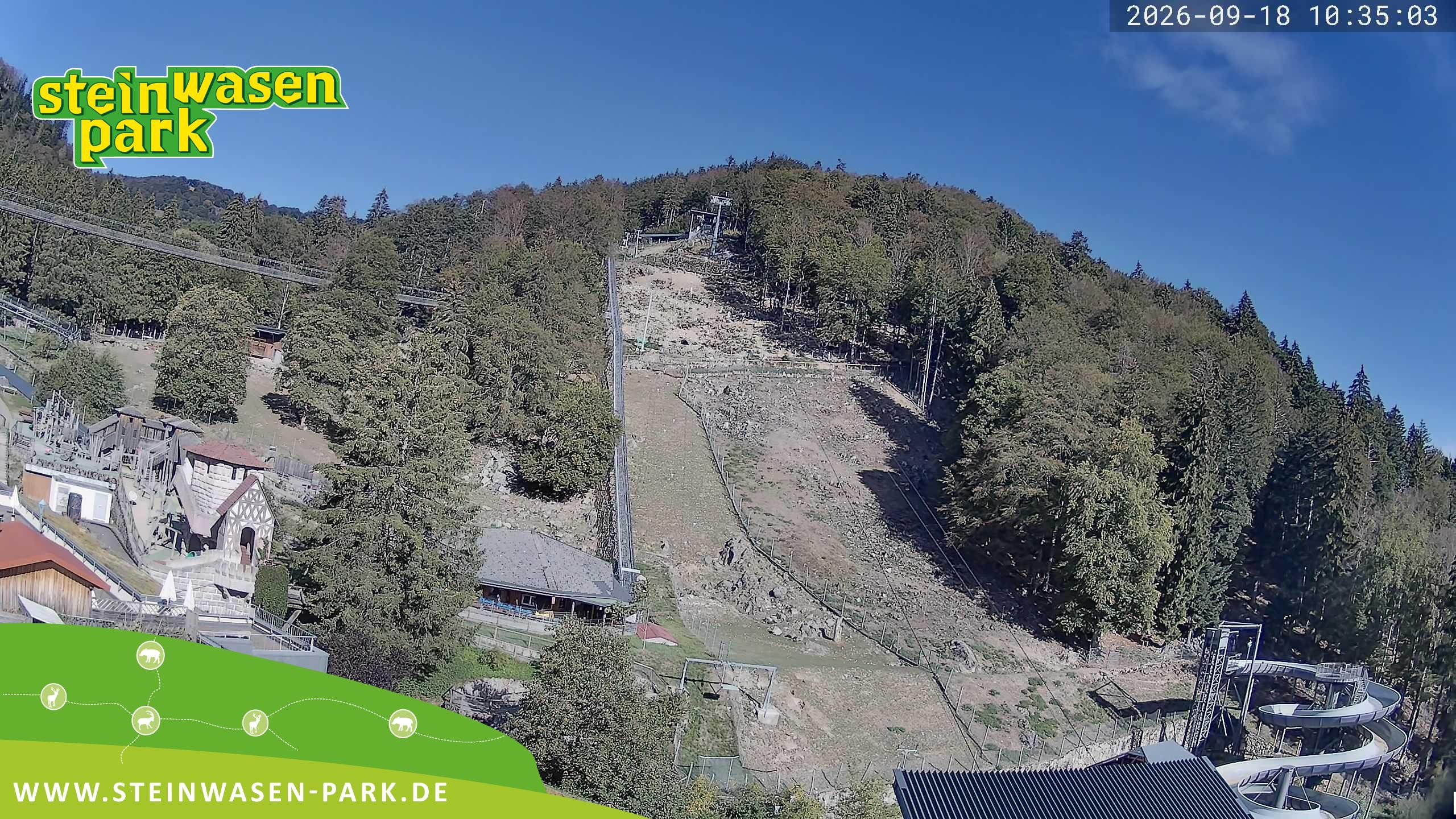 Archiv Foto Webcam Steinwasen Park
