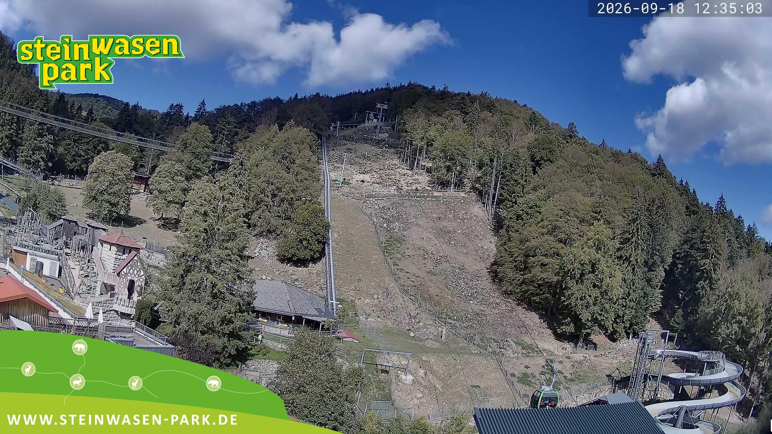 Archiv Foto Webcam Steinwasen Park