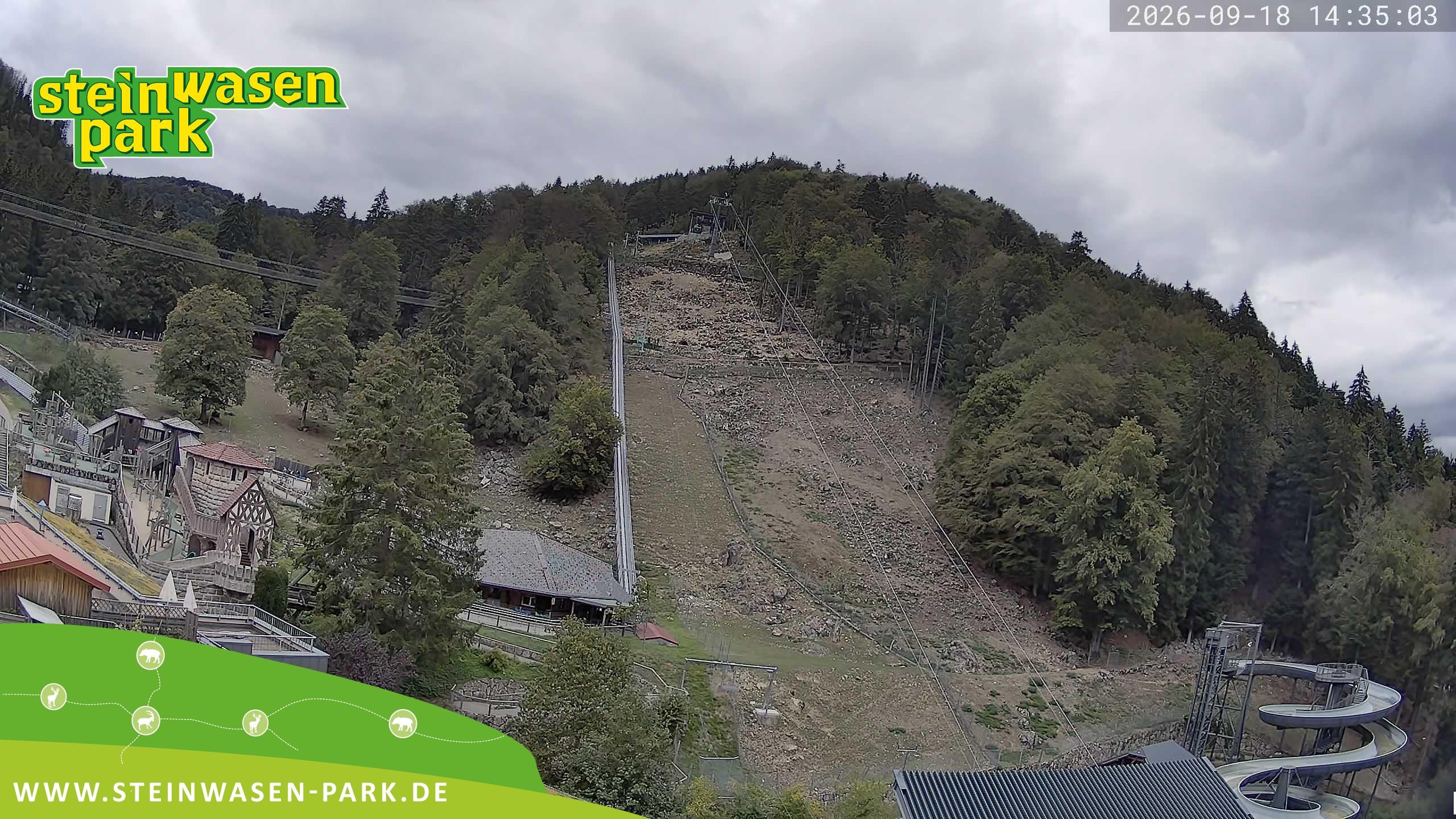 Archived image Webcam at Steinwasen Park