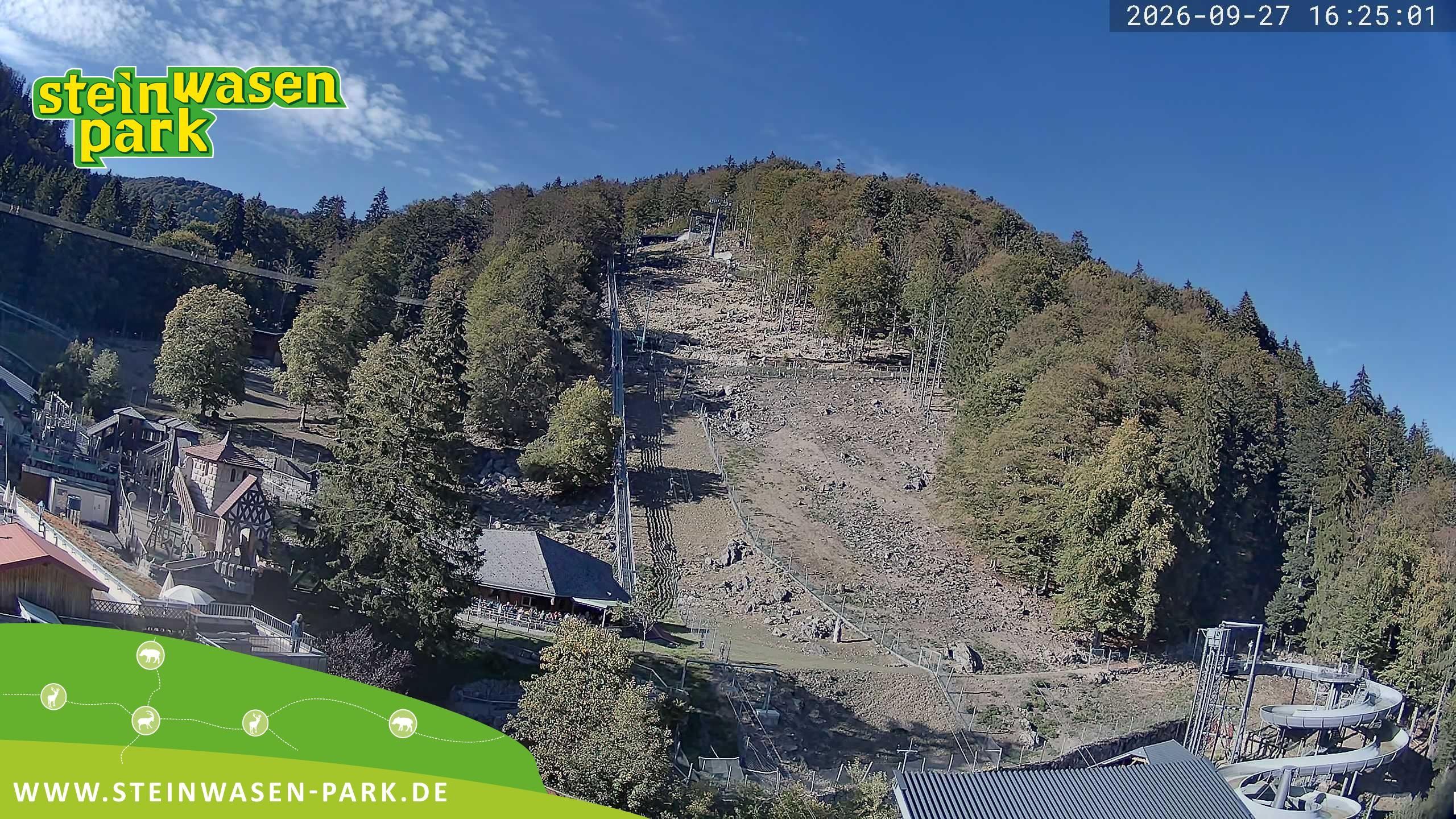 Archiv Foto Webcam Steinwasen Park
