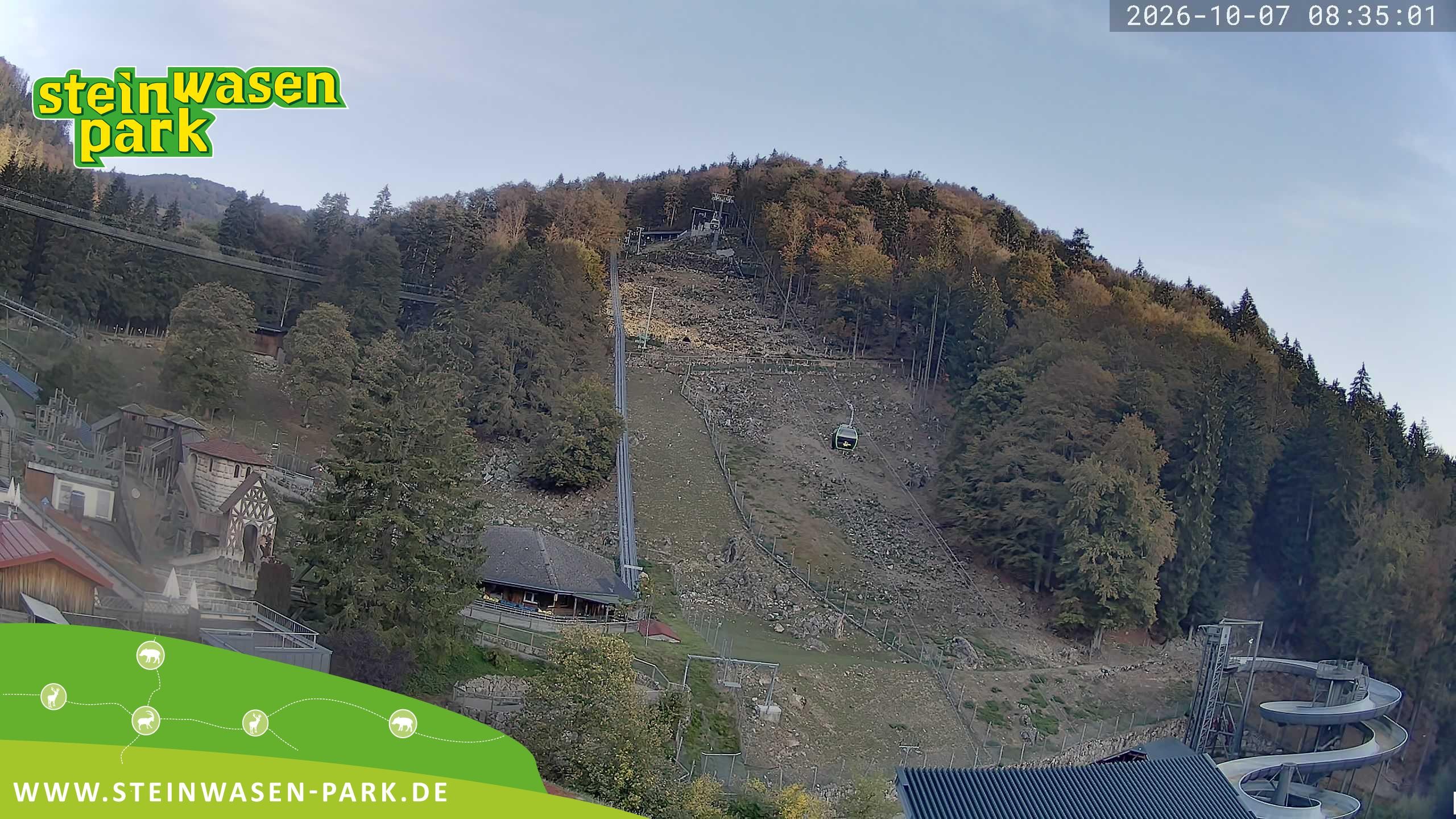Archived image Webcam at Steinwasen Park