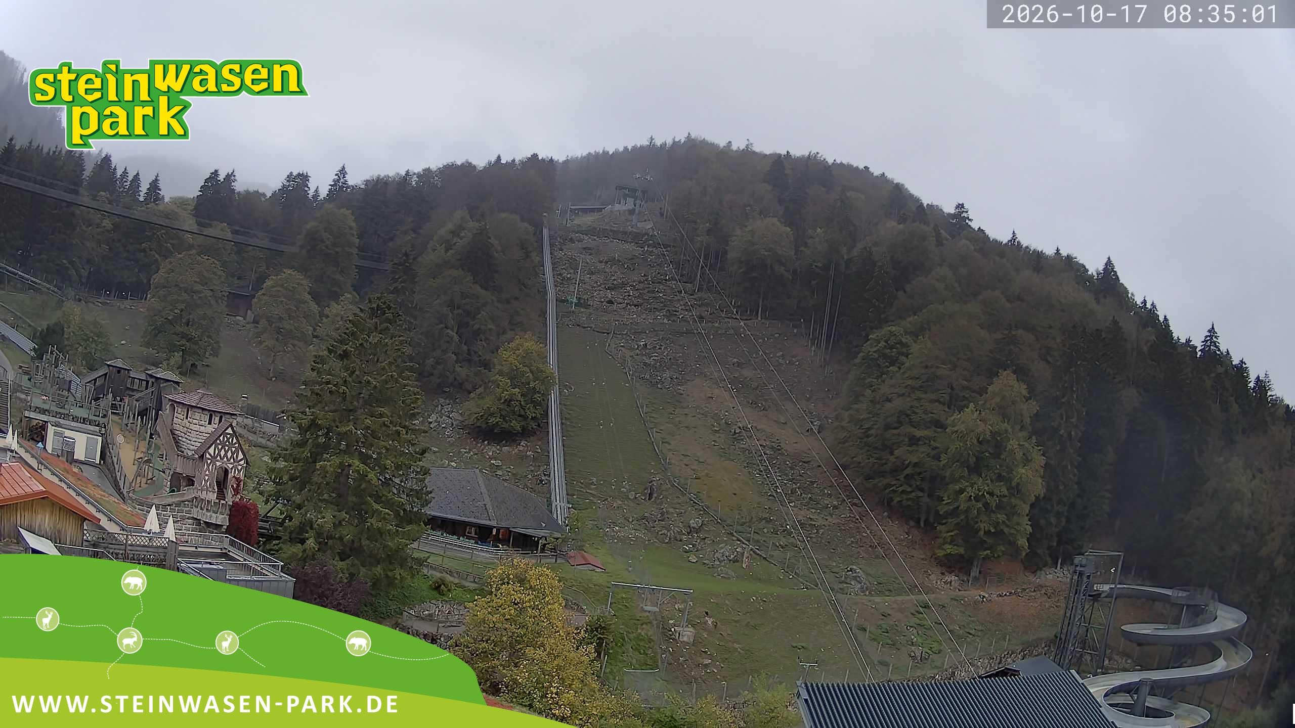 Archiv Foto Webcam Steinwasen Park