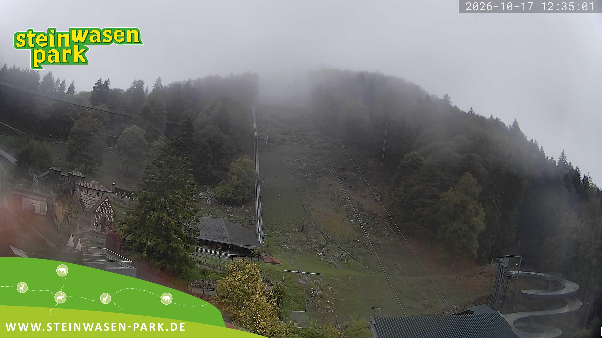 Archiv Foto Webcam Steinwasen Park