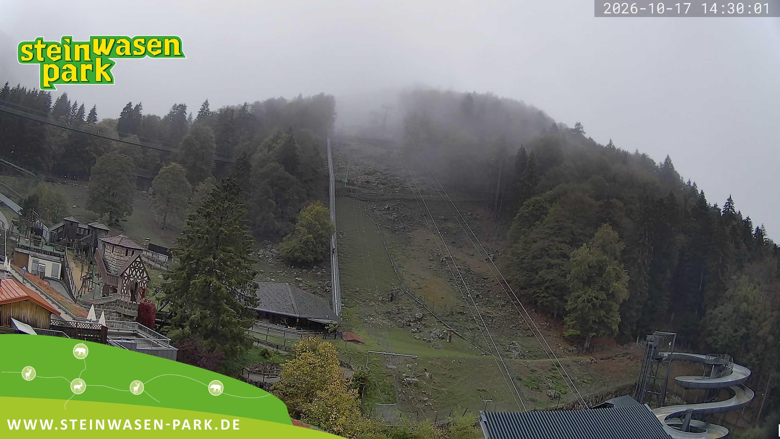Archiv Foto Webcam Steinwasen Park