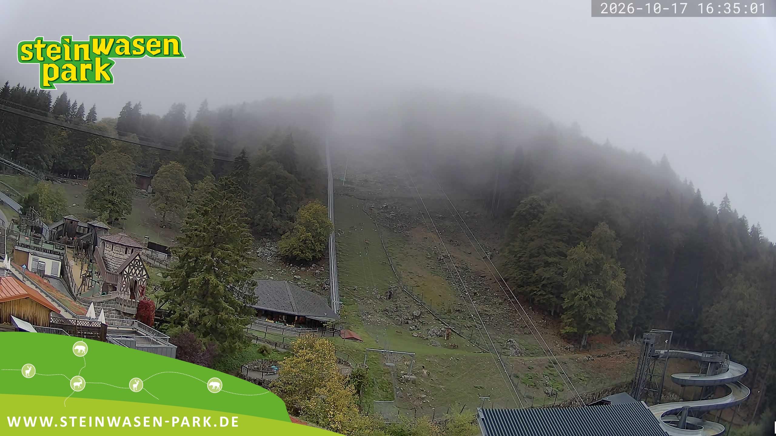 Archiv Foto Webcam Steinwasen Park
