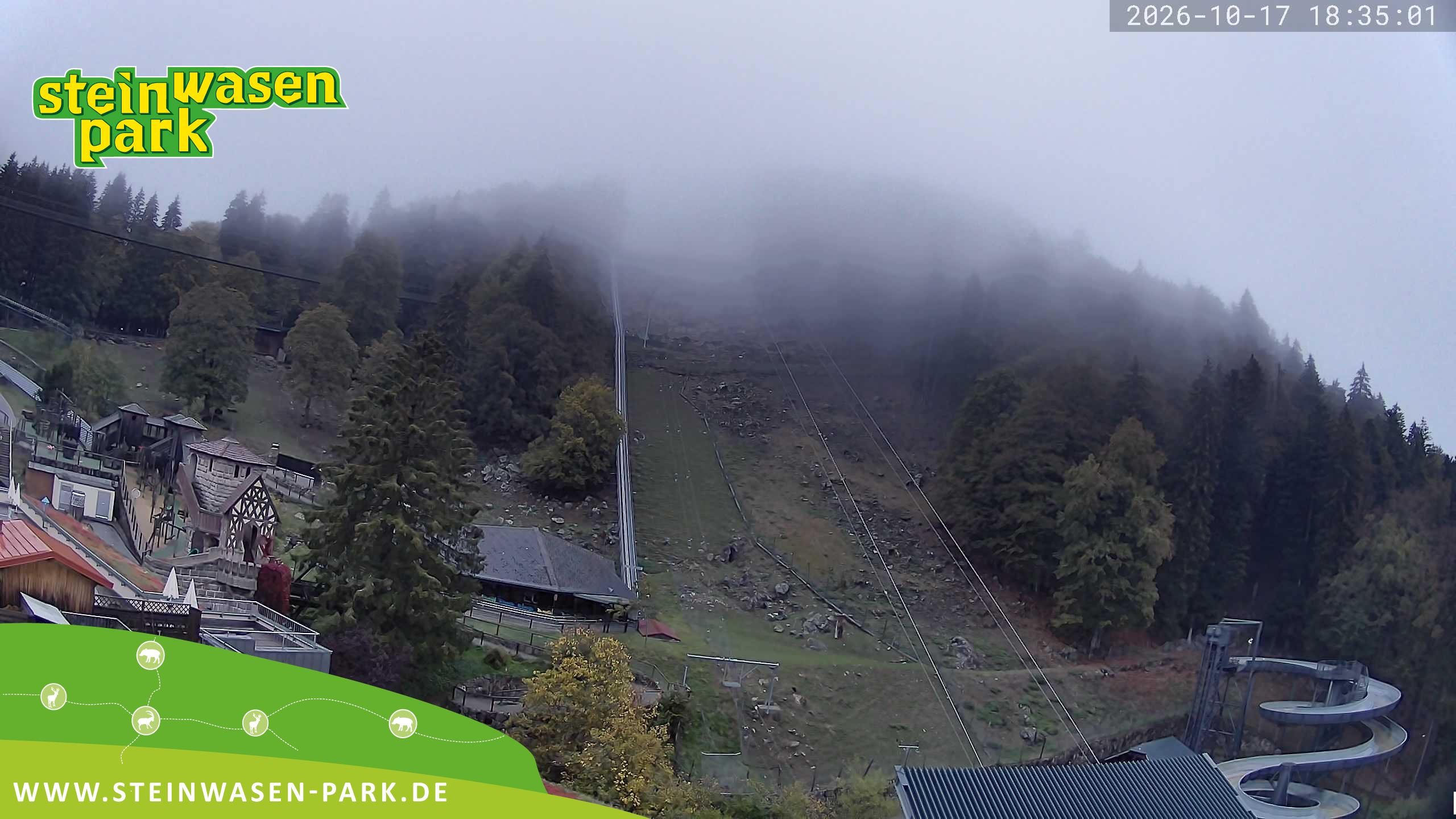 Archiv Foto Webcam Steinwasen Park