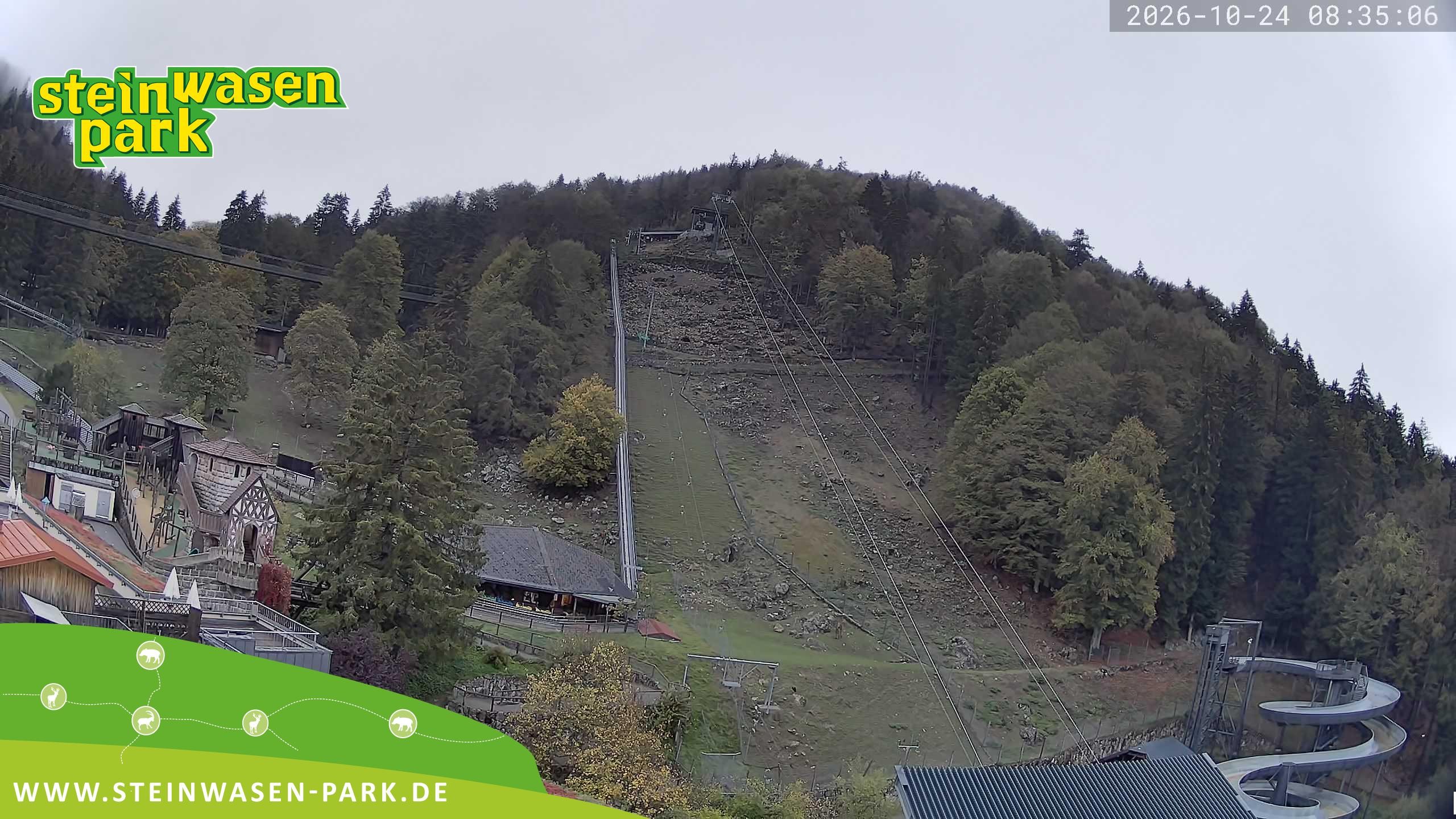 Archived image Webcam at Steinwasen Park
