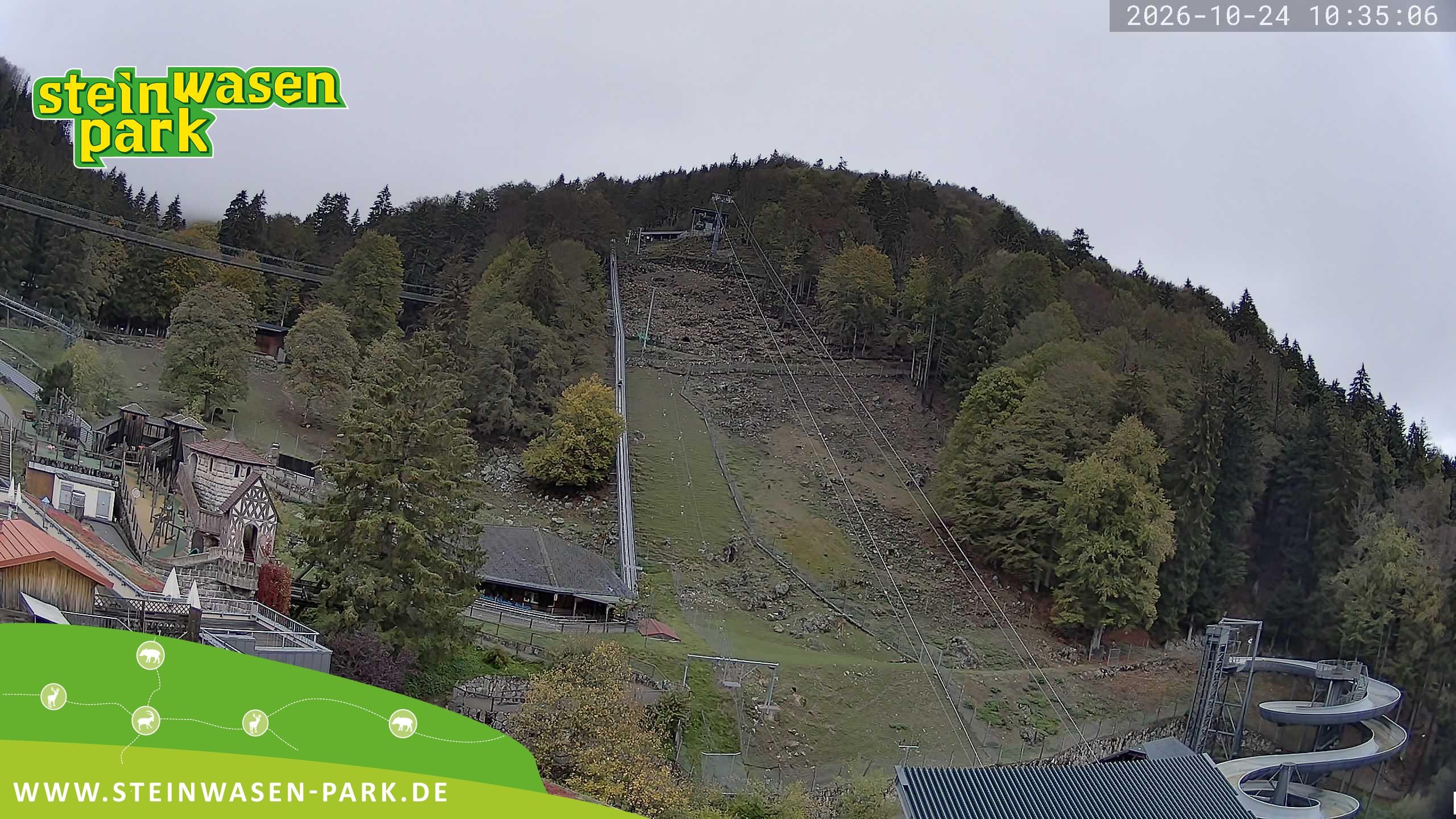 Archived image Webcam at Steinwasen Park