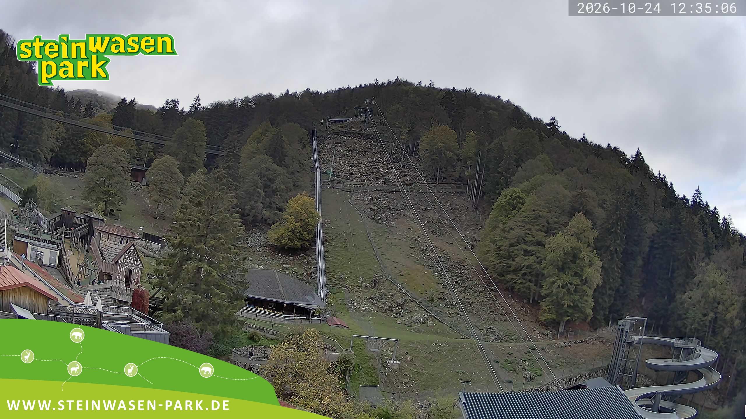 Archived image Webcam at Steinwasen Park