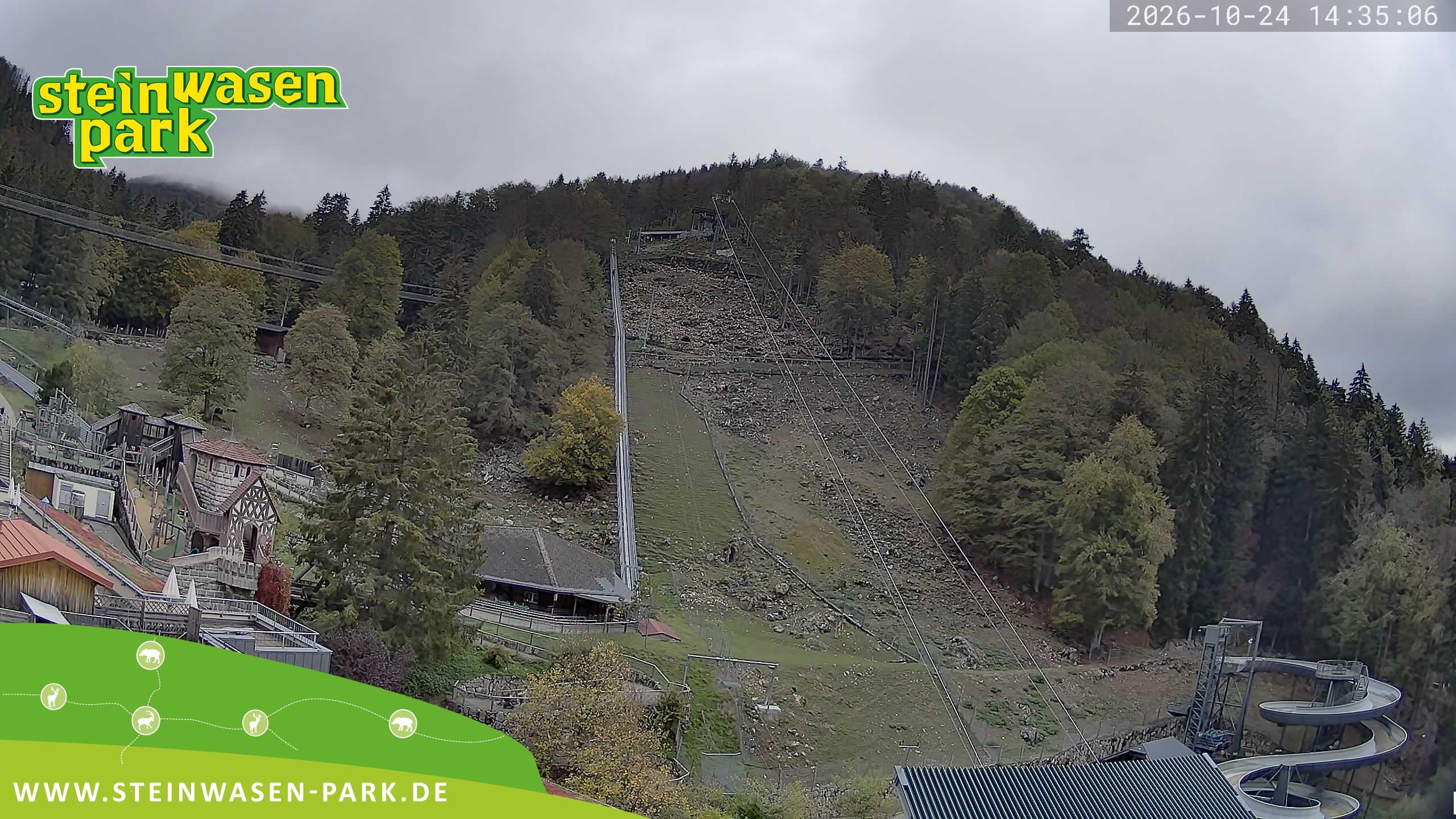 Archived image Webcam at Steinwasen Park
