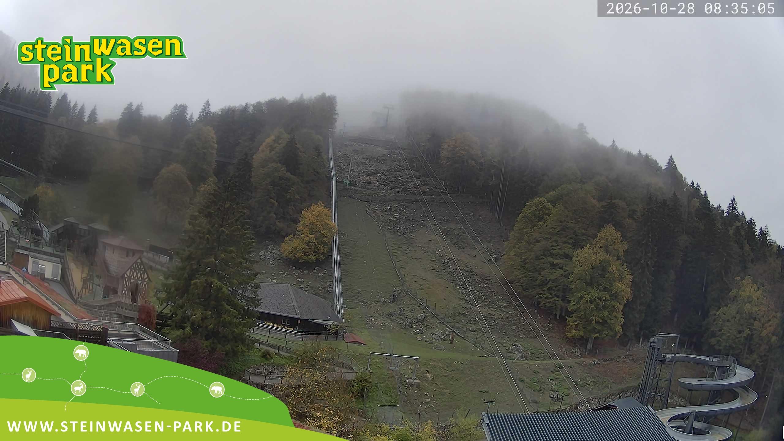 Archiv Foto Webcam Steinwasen Park