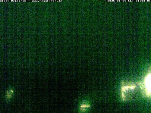 Archiv Foto Webcam Storchennest Rathaus Meßkirch