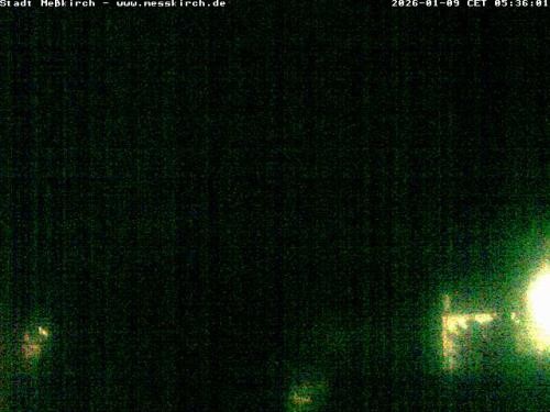 Archiv Foto Webcam Storchennest Rathaus Meßkirch