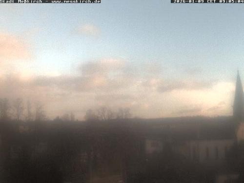 Archiv Foto Webcam Storchennest Rathaus Meßkirch