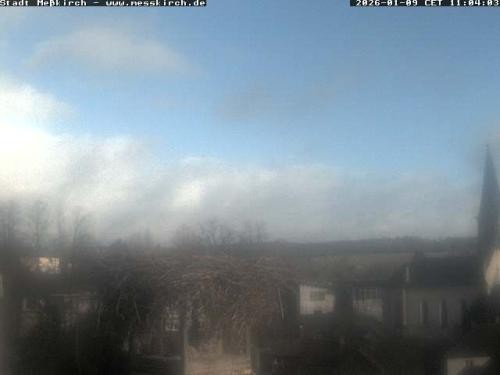 Archiv Foto Webcam Storchennest Rathaus Meßkirch