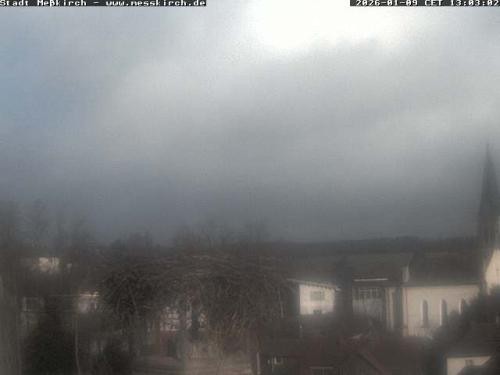 Archiv Foto Webcam Storchennest Rathaus Meßkirch