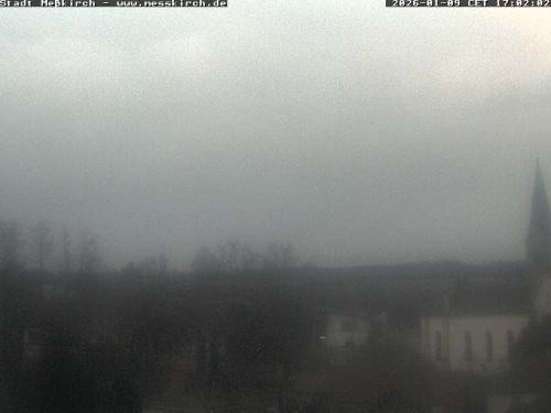 Archiv Foto Webcam Storchennest Rathaus Meßkirch