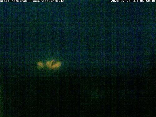 Archiv Foto Webcam Storchennest Rathaus Meßkirch