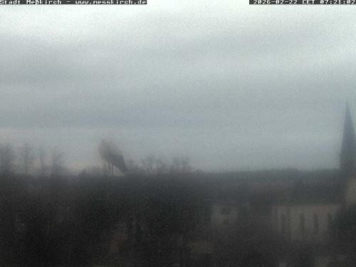Archiv Foto Webcam Storchennest Rathaus Meßkirch